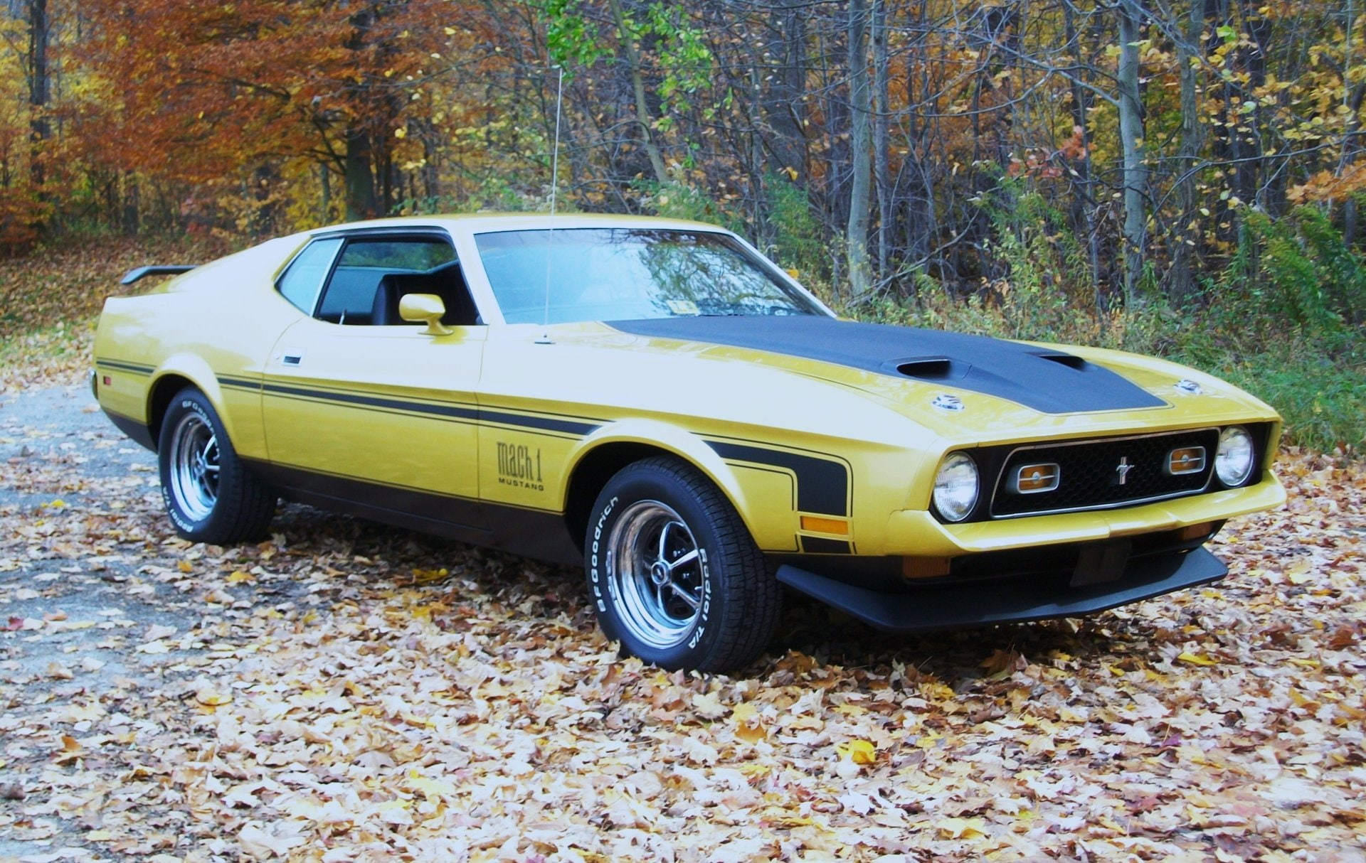 Ford, Ford Mustang Mach 1, 1080P, Muscle Car, Fastback, Yellow Car, HD Wallpaper