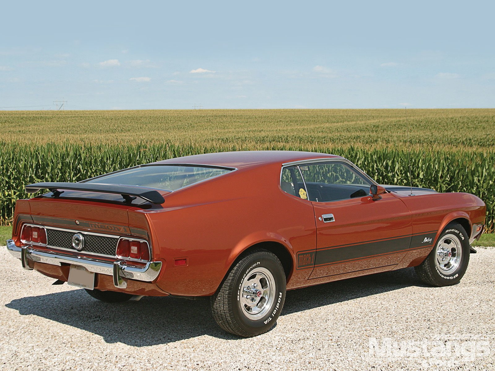 Muscle Car, Ford Mustang Mach 1, Ford, Fastback, 720P, Classic Car, HD Wallpaper