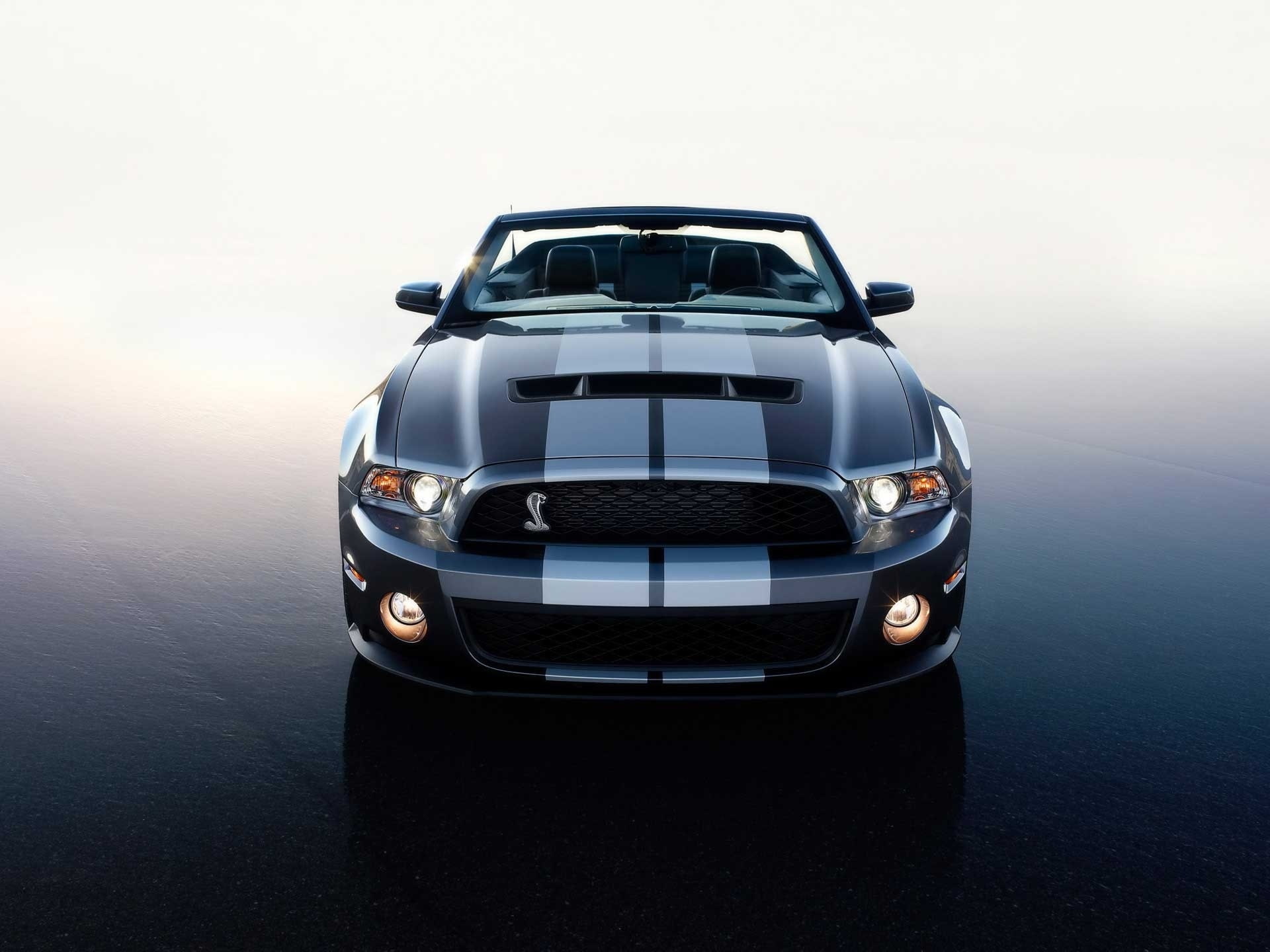 View, Shelby, 1080P, Front, Supercar, Cobra, HD Wallpaper