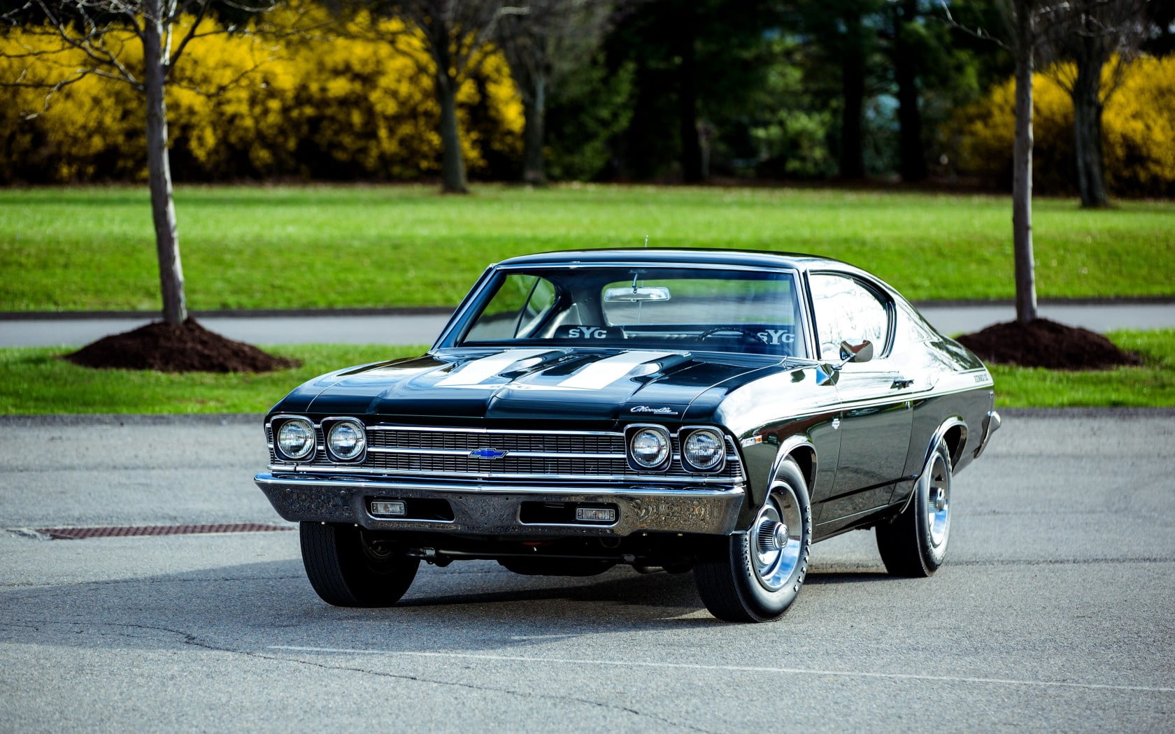 collectors Car, land Vehicle, retro Styled, obsolete, plant, side view, focus on foreground, chevelle, city, wheel, old, nature, chevrolet, transportation, HD Wallpaper