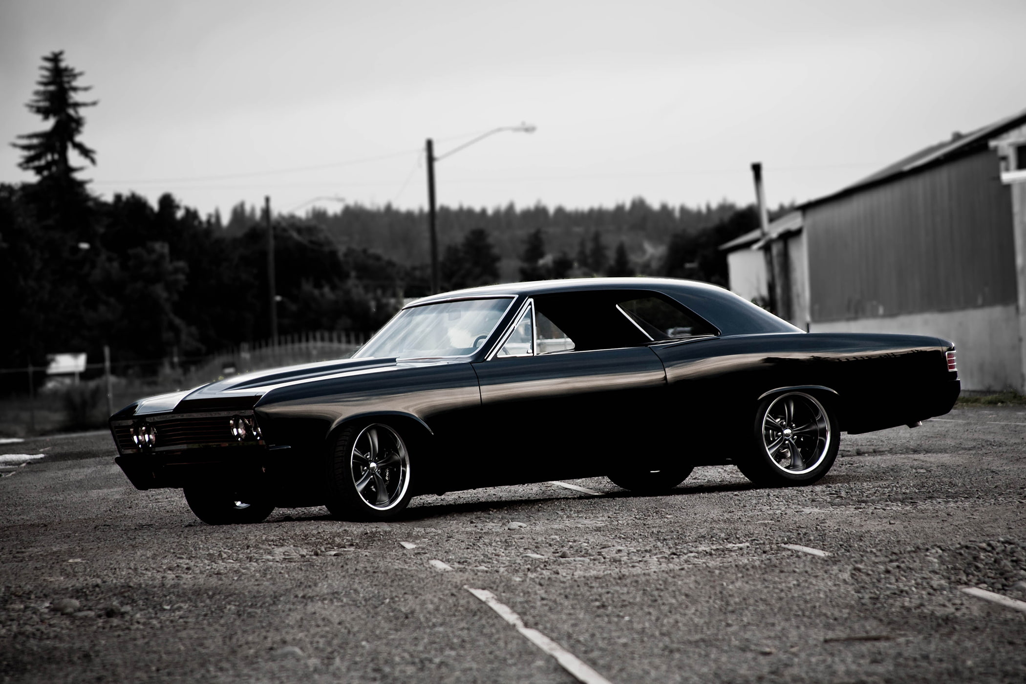 nature, car, tree, rod, day, plant, road, muscle, Chevrolet, street, outdoors, Custom, vintage car, mode of transportation, classic, 1080P, stationary, HD Wallpaper