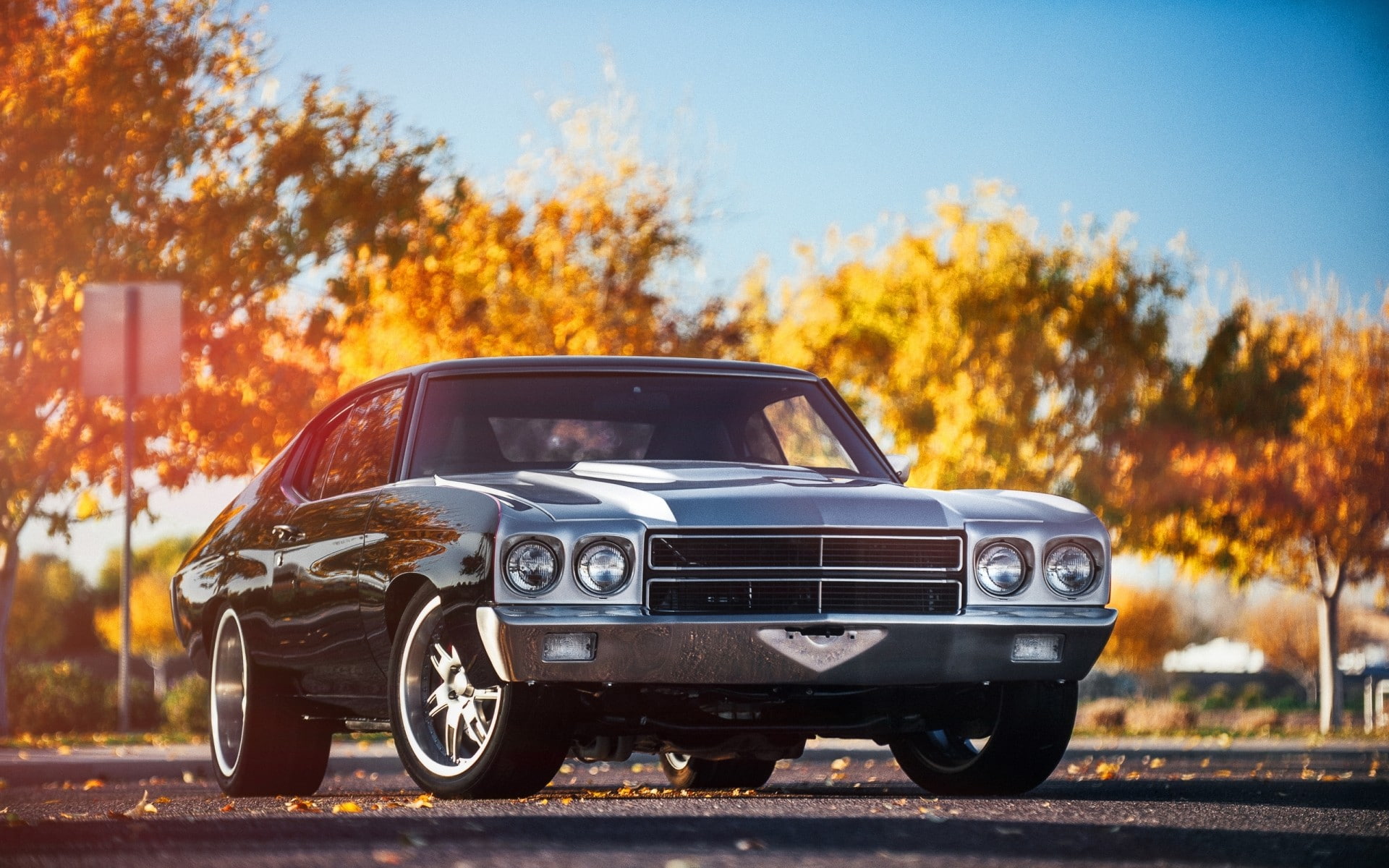 trees, Chevelle SS, road, car, 1080P, HD Wallpaper