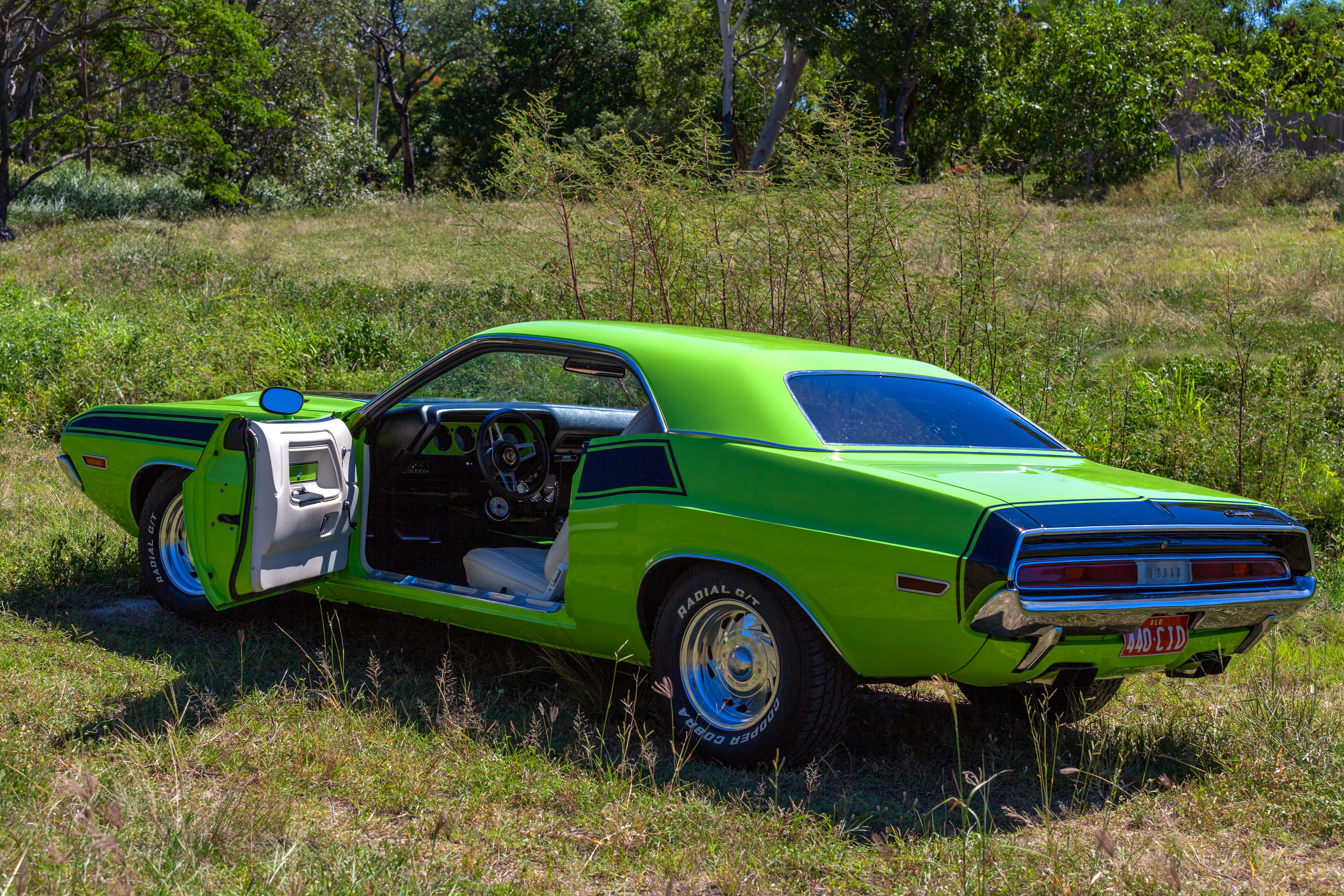 5K, plant, transportation, silver colored, blue, retro styled, mode of transportation, stationary, left hand drive, 1970 dodge challenger, luxury, no people, HD Wallpaper
