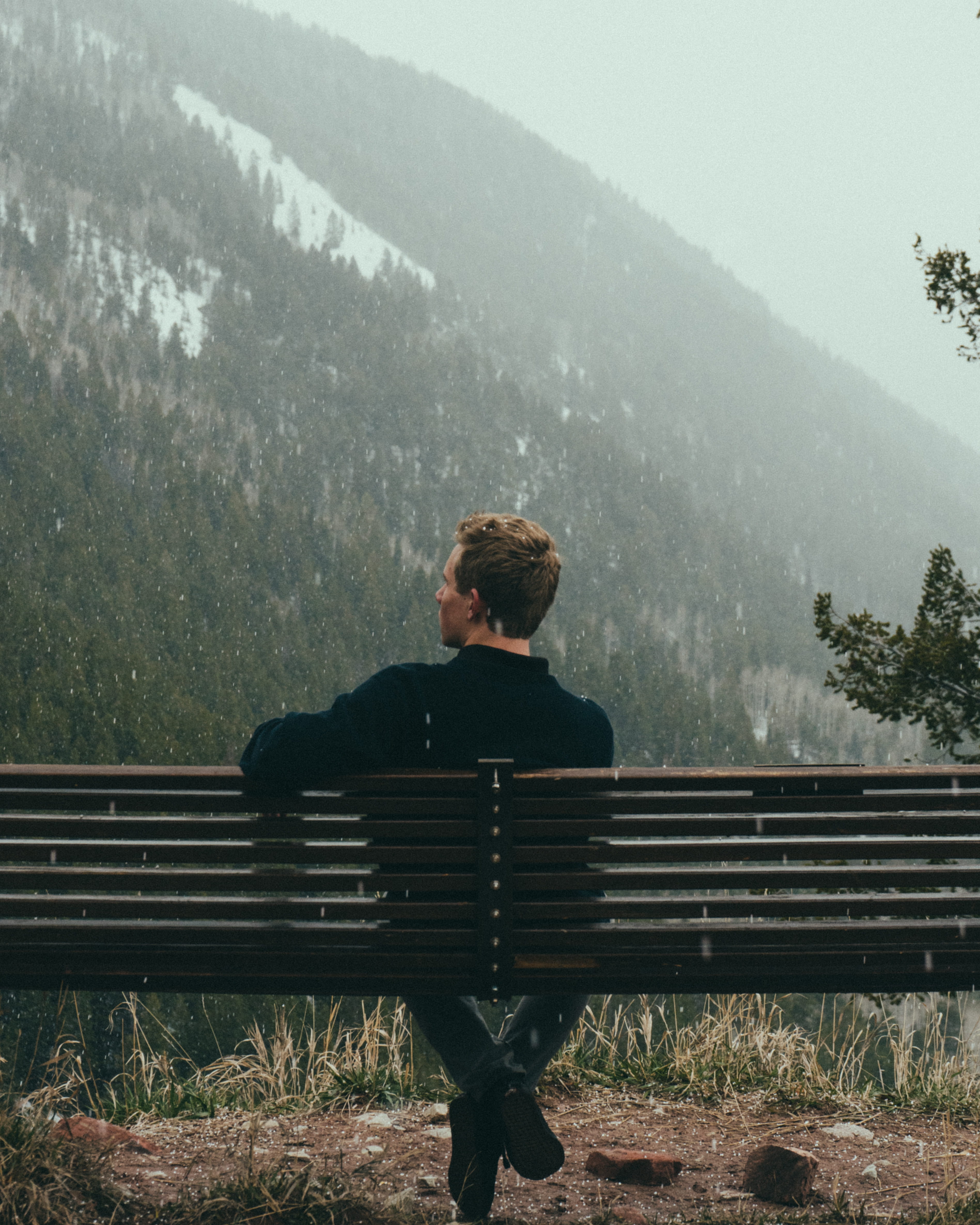 young adult, united states, portrait, rain, sitting, casual clothing, young men, one person, cold, snow, plant, clouds, trees, nature, outdoors, bench, Phone HD Wallpaper