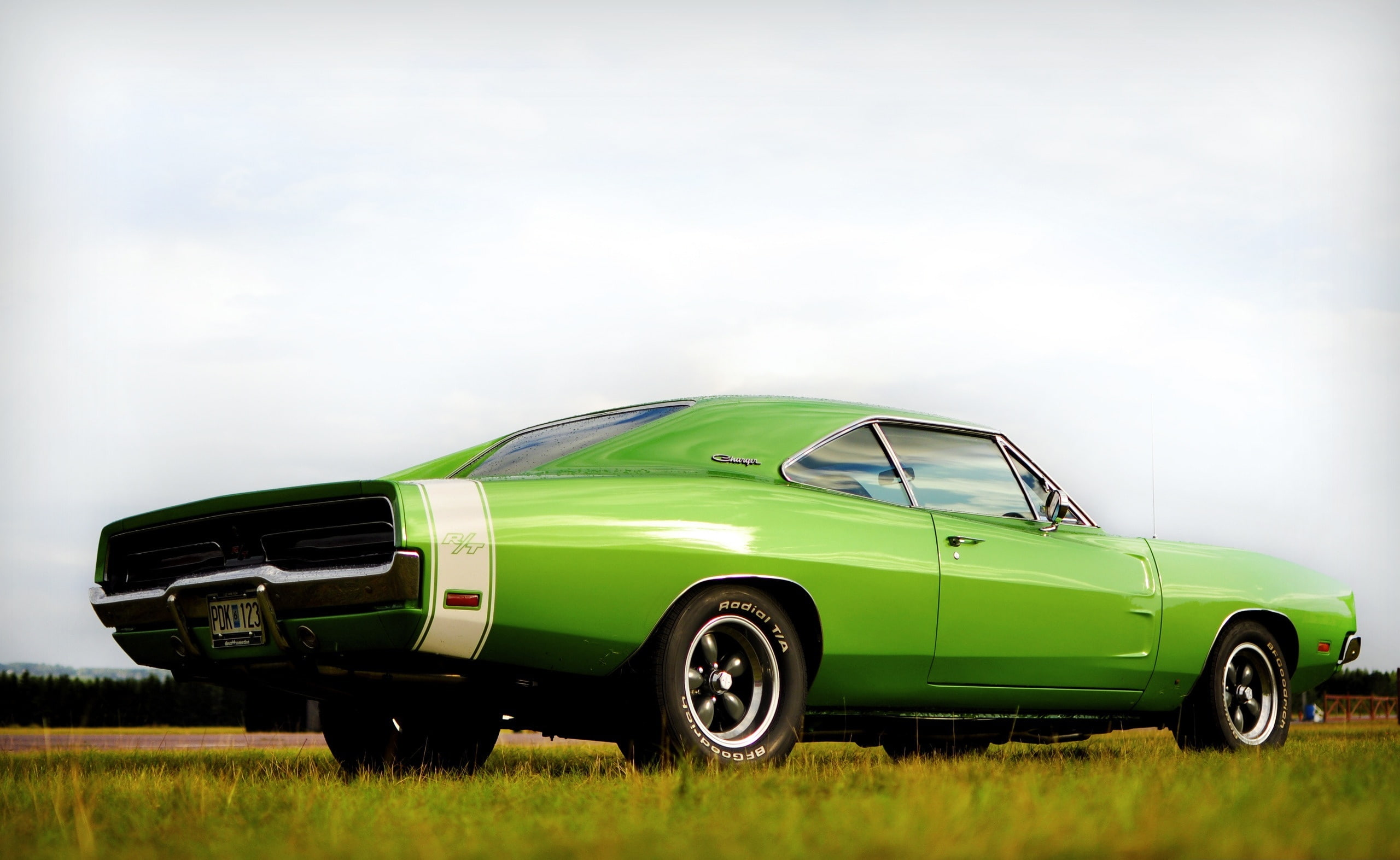 no people, outdoors, motor vehicle, Classic Cars, Charger, retro styled, coupe, 2K, transportation, toy, field, environment, green color, travel, mode of transportation, HD Wallpaper