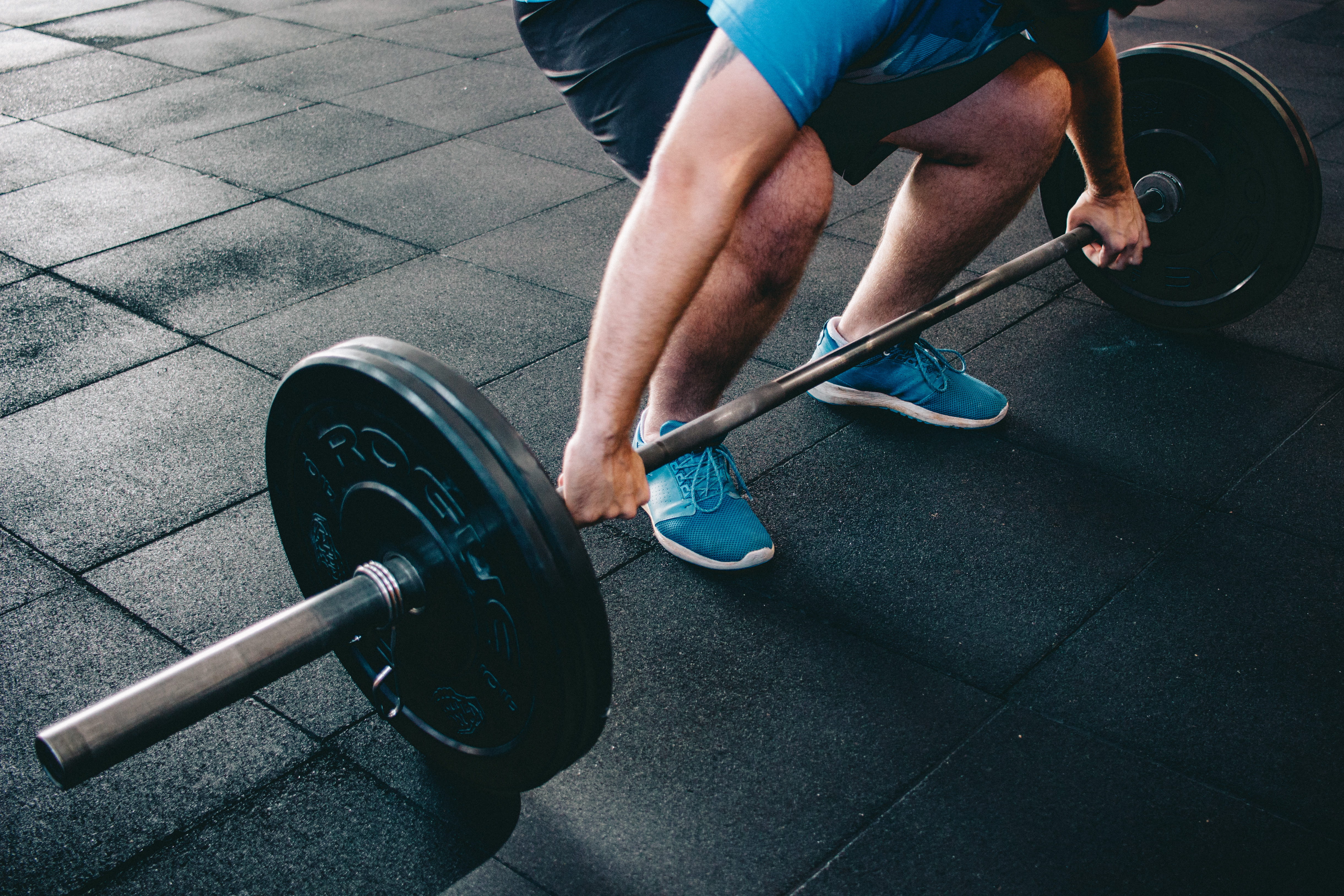 exercising, human leg, wear, gym, holding, hands, weights, person, sports training, lifestyles, healthy lifestyle, men, determination, metal, bodybuilding, HD Wallpaper