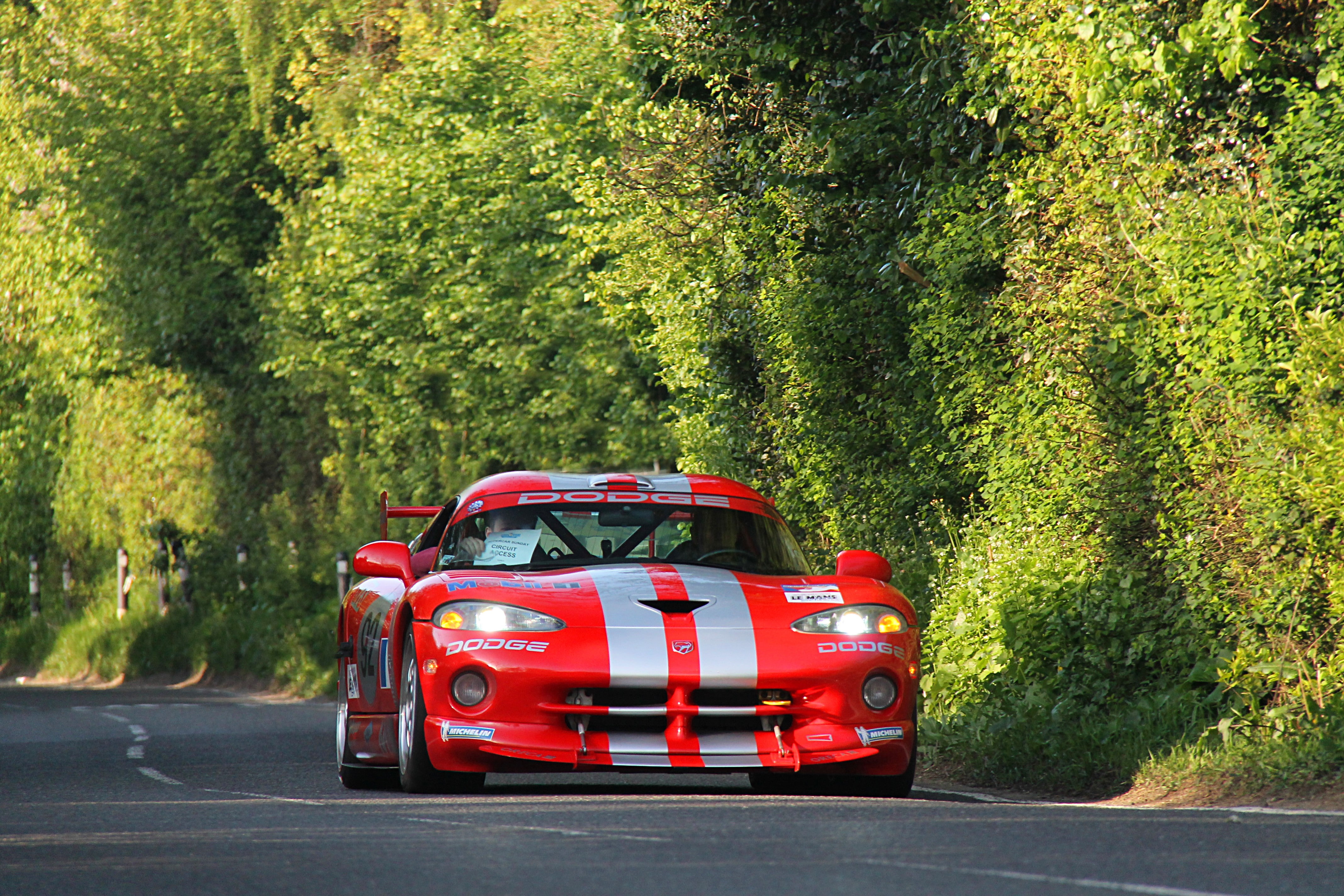 travel, VIPER, outdoors, growth, green color, land vehicle, car, no people, 4K, plant, Dodge Viper, nature, tree, road, sunlight, city, day, red, mode of transportation, HD Wallpaper