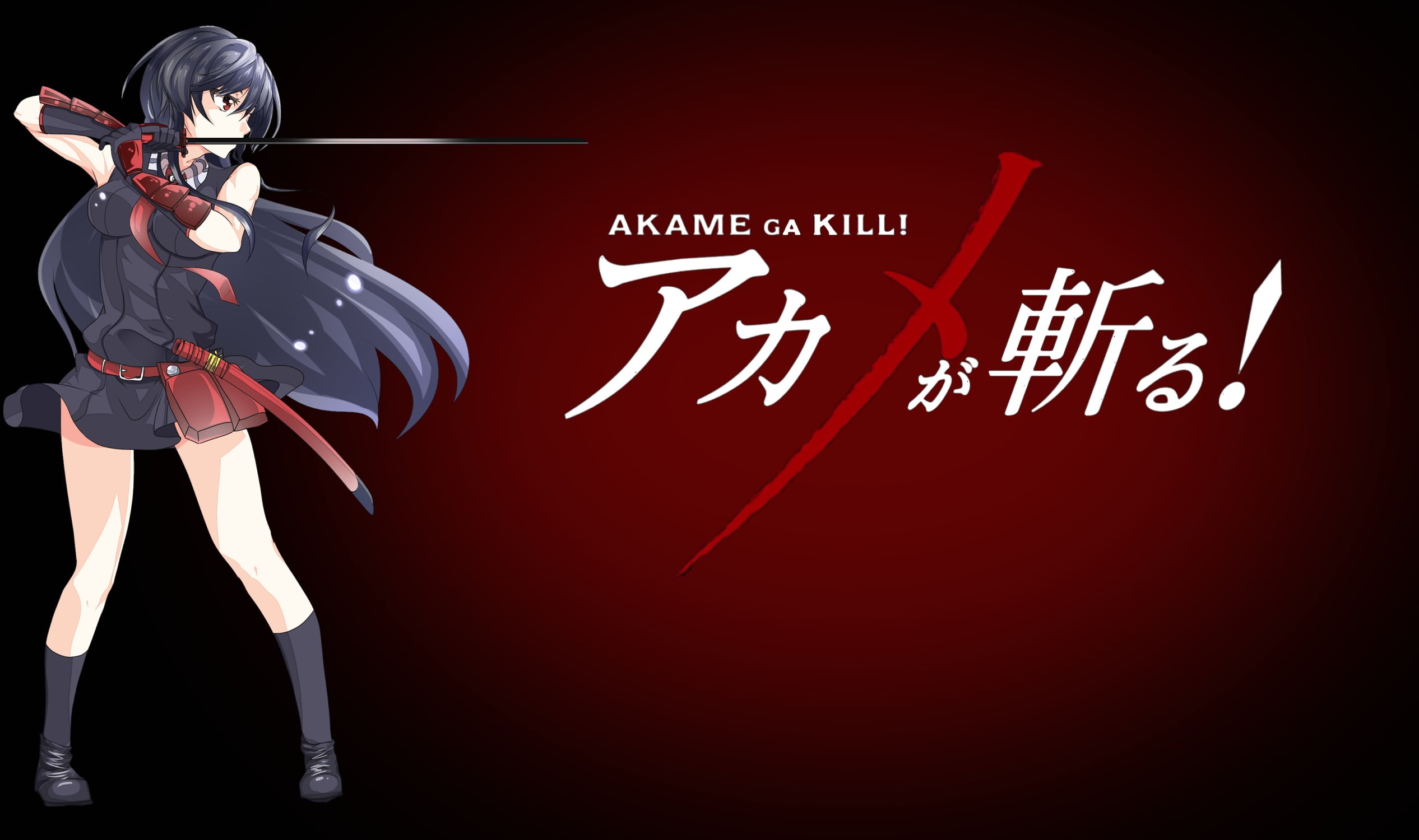clothing, costume, standing, front view, indoors, studio shot, human representation, Akame ga Kill!, one person, red, technology, cartoon, ga, representation, HD Wallpaper