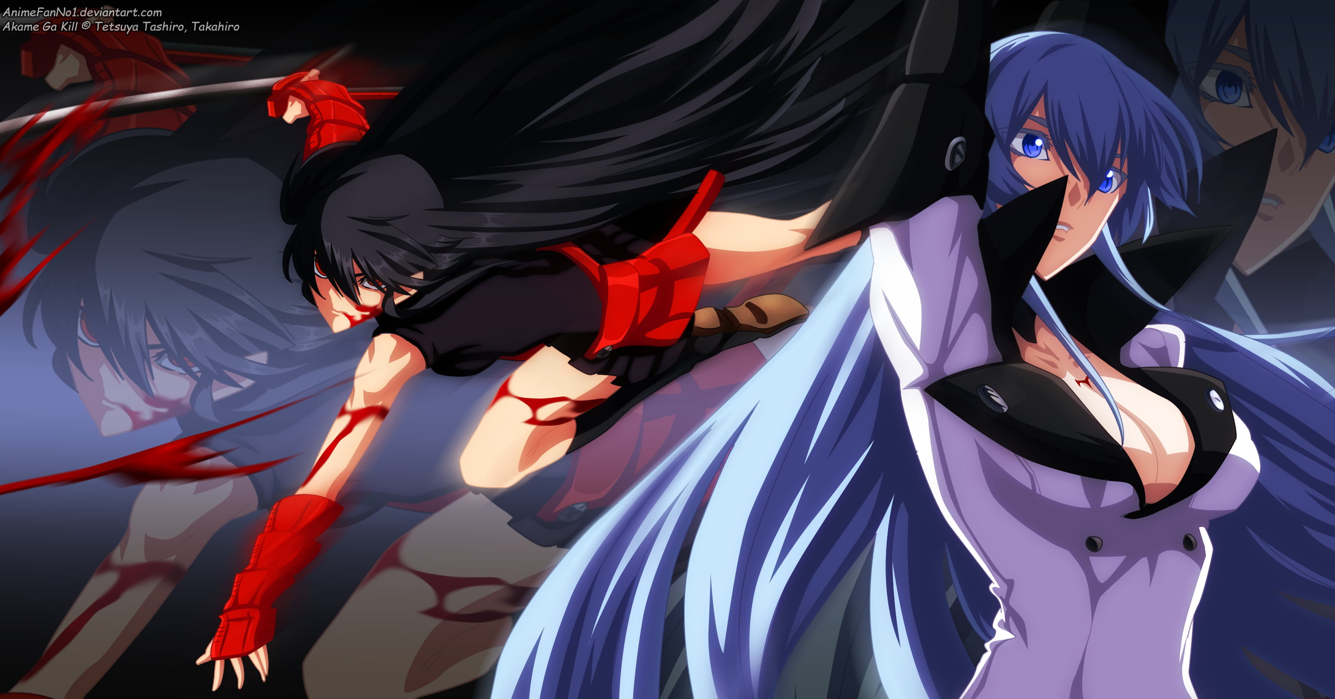 Akame (Akame Ga Kill!), Esdeath (Akame Ga Kill!), 2K, Anime, Akame ga Kill!, HD Wallpaper