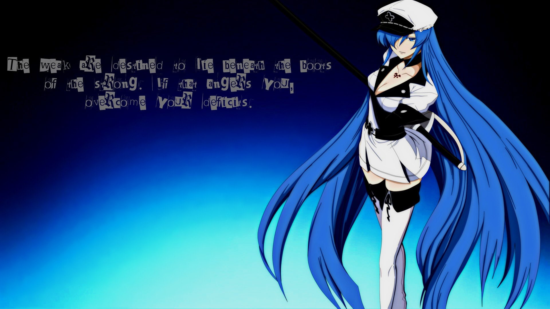 Esdeath, Akame Ga Kill!, anime, blue, Anime Girls, 1080P, HD Wallpaper