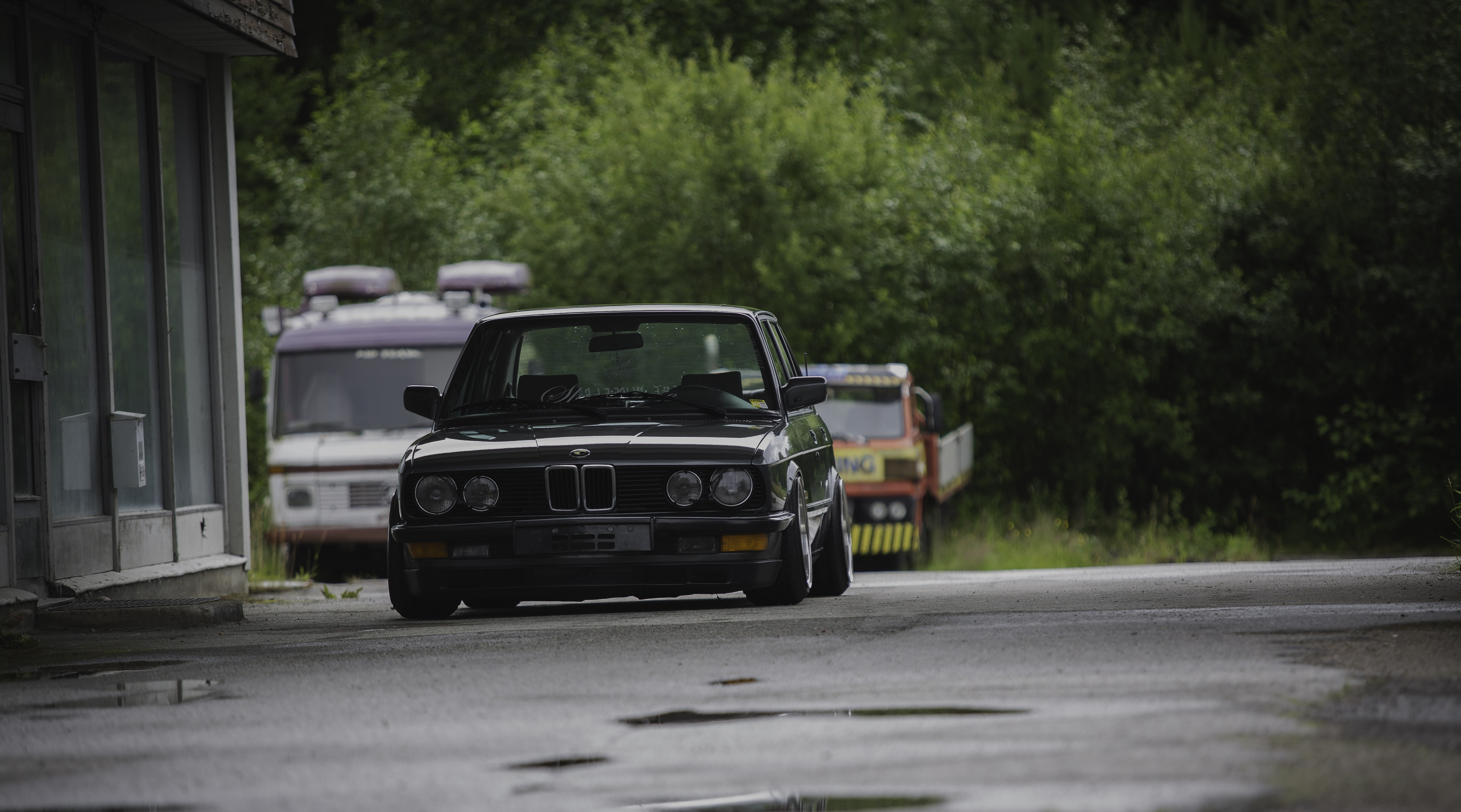 low, e, rain, bmw e28, 5K, trees, stanceworks, summer, bmw, norway, stance, HD Wallpaper
