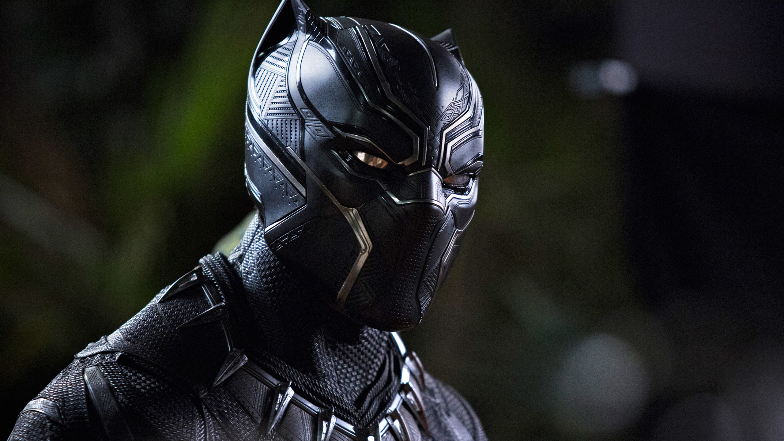 outdoors, black color, Panther, face guard - sport, headshot, mask, disguise, protective mask - workwear, Black, clothing, focus on foreground, protection, HD Wallpaper
