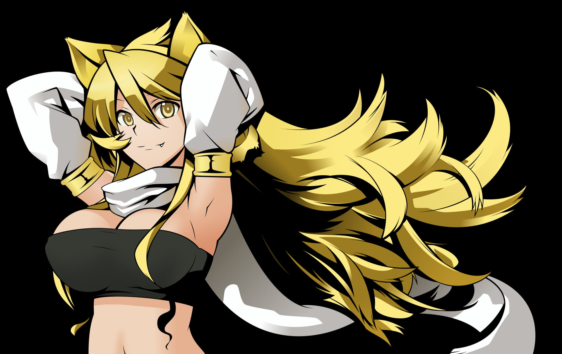 Akame ga Kill!, Anime, 1080P, Leone (Akame Ga Kill!), HD Wallpaper