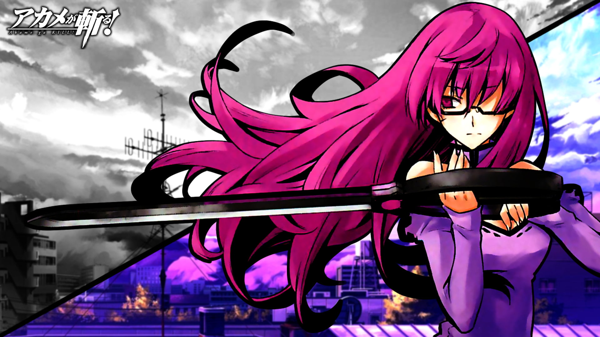 Akame ga Kill!, Anime, Sheele (Akame Ga Kill!), 1080P, HD Wallpaper