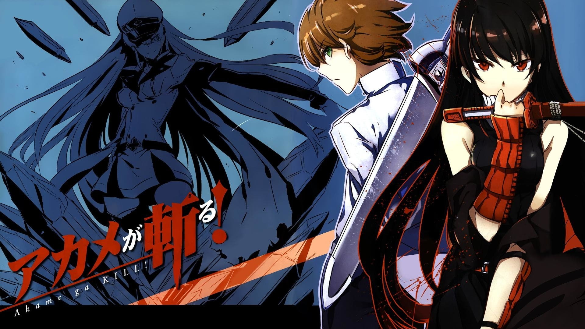 Tatsumi (Akame Ga Kill!), Esdeath (Akame Ga Kill!), Anime, Akame ga Kill!, Akame (Akame Ga Kill!), brown, character, illustrations, 1080P, black, haired, HD Wallpaper