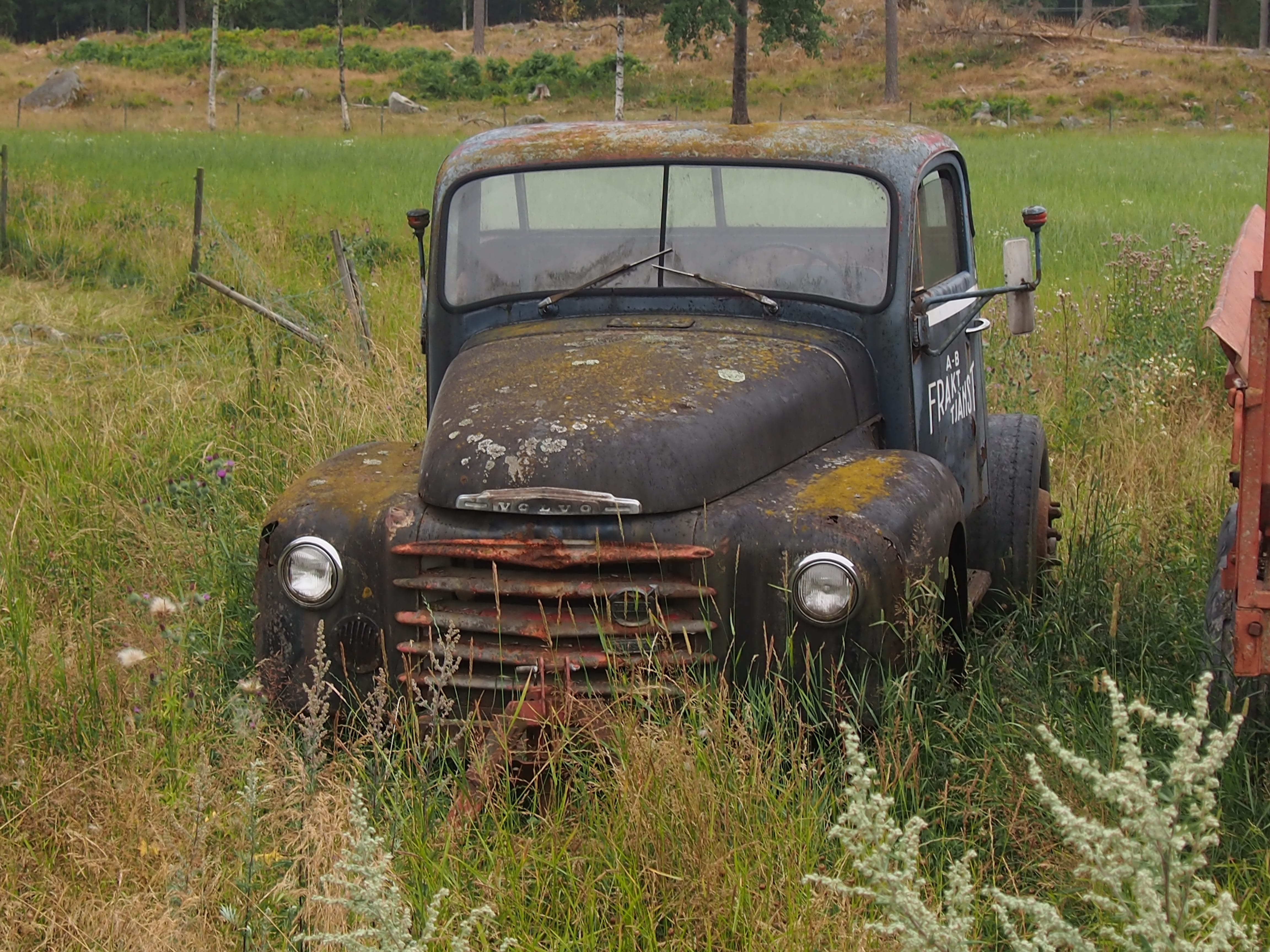 obsolete, deterioration, rusty, swedish, no people, land, motor vehicle, transportation, outdoors, grass, ruined, damaged, car, decline, summer, volvo, HD Wallpaper