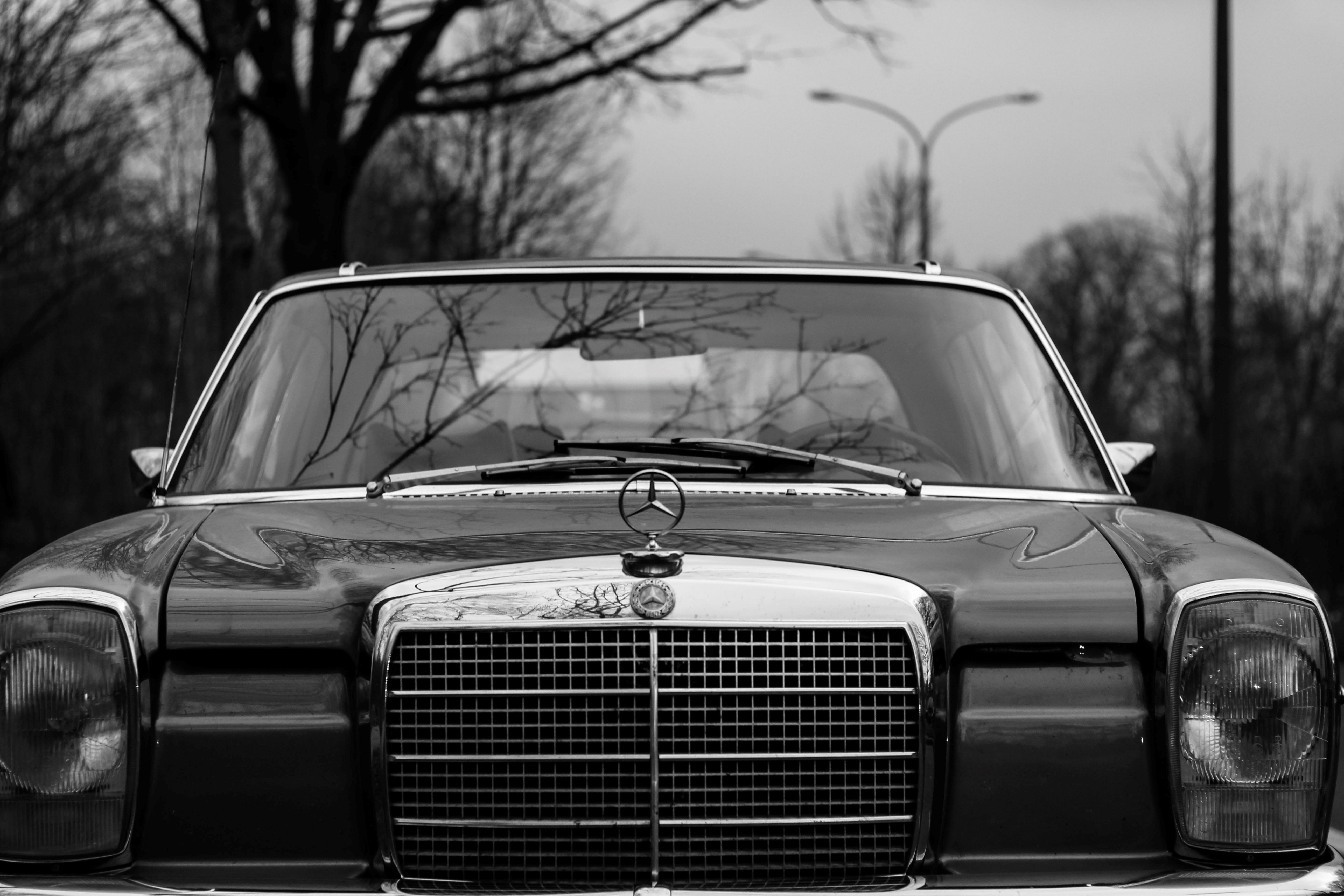 close-up, stationary, vintage car, mercedes star, no people, retro styled, metal, luxury, outdoors, metallic, lacquered, 5K, transportation, bare tree, HD Wallpaper