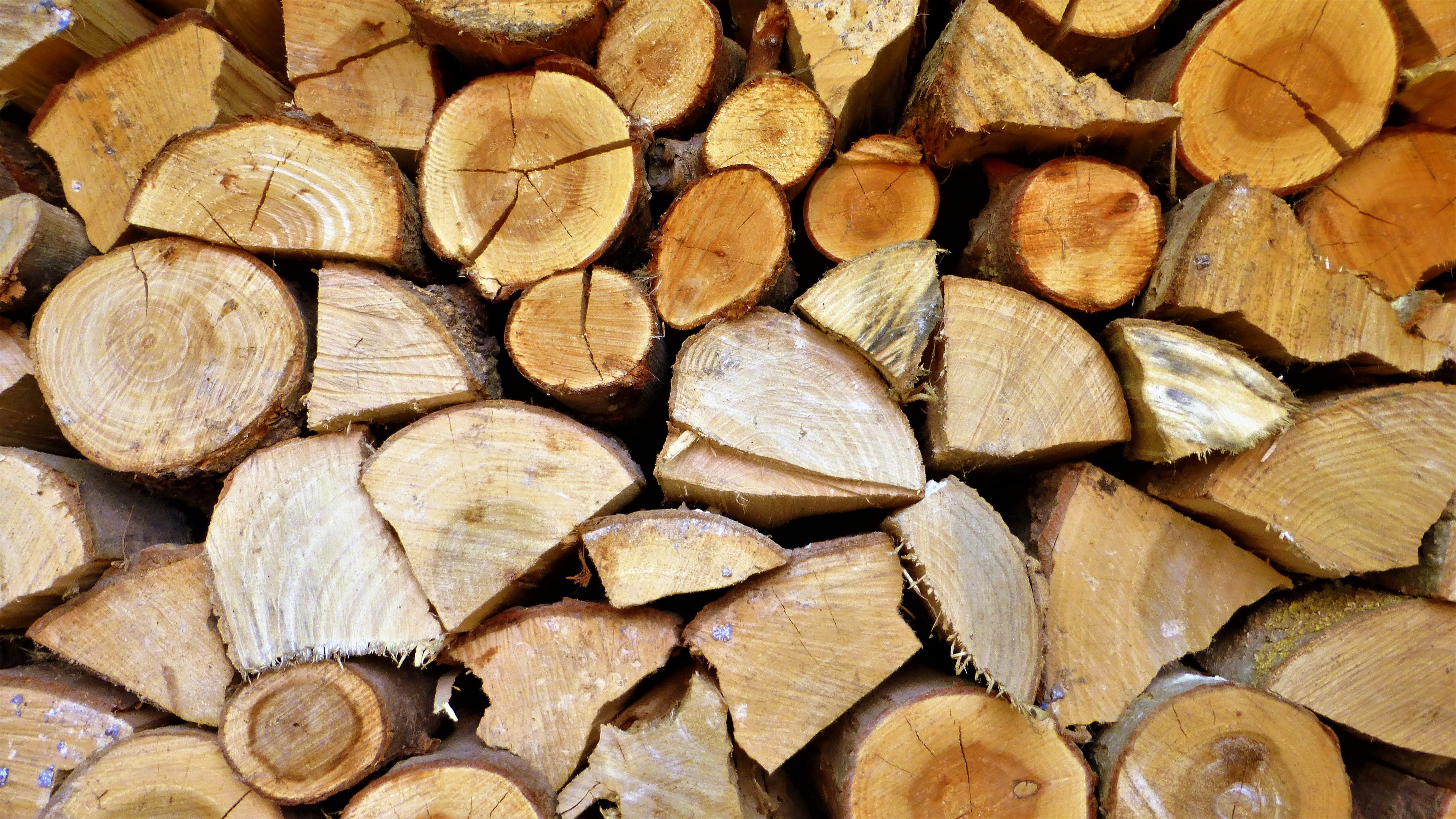 4K, lot, firewood, woodpile, wood - material, energy, chopped, lumber industry, resource, heap, large group of objects, full frame, tree ring, deforestation, HD Wallpaper