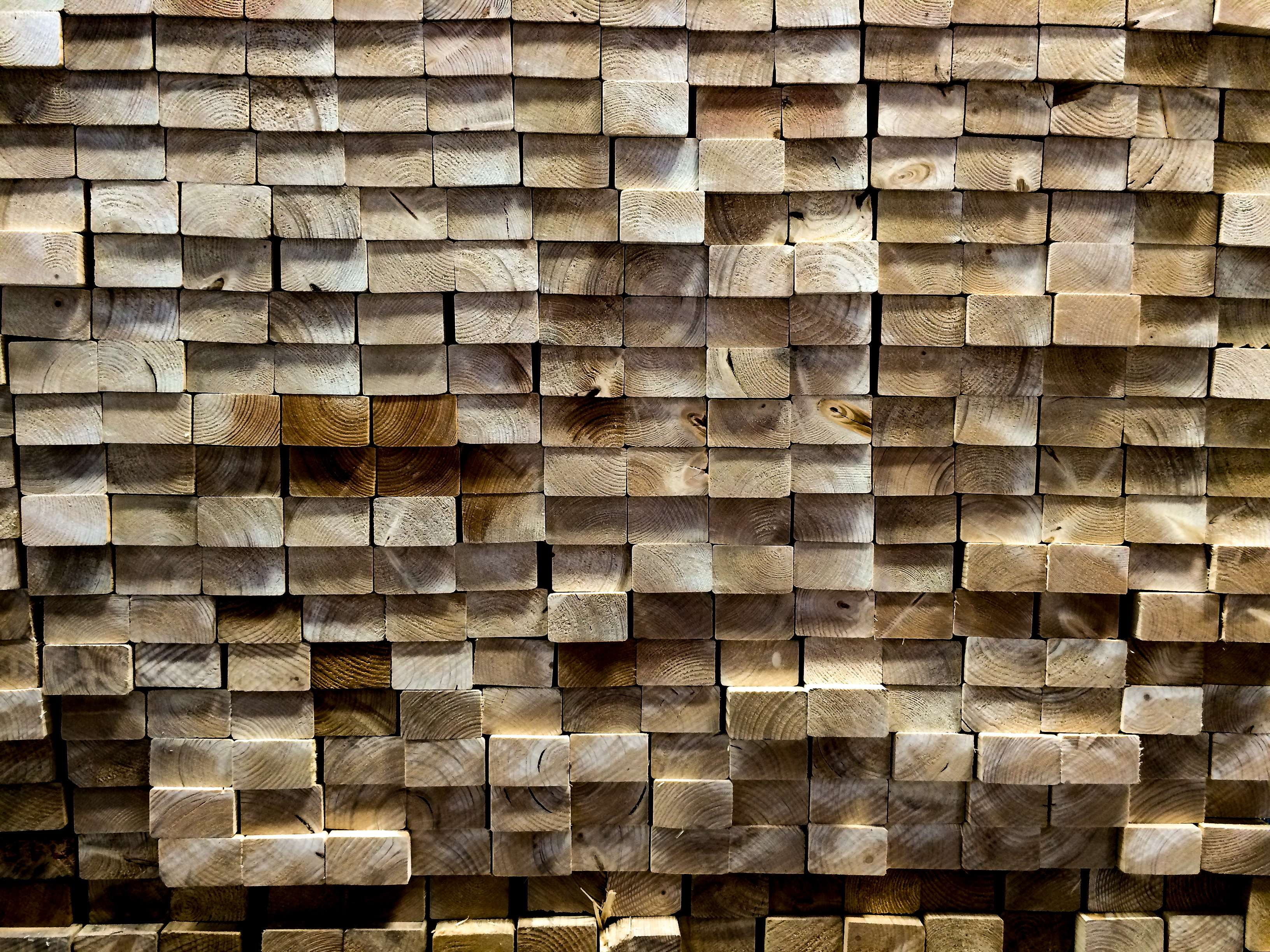 firewood, arrangement, full frame, forest, backgrounds, large group of objects, theme patterns, repetition, stack, abundance, brown, wood - material, 2K, HD Wallpaper
