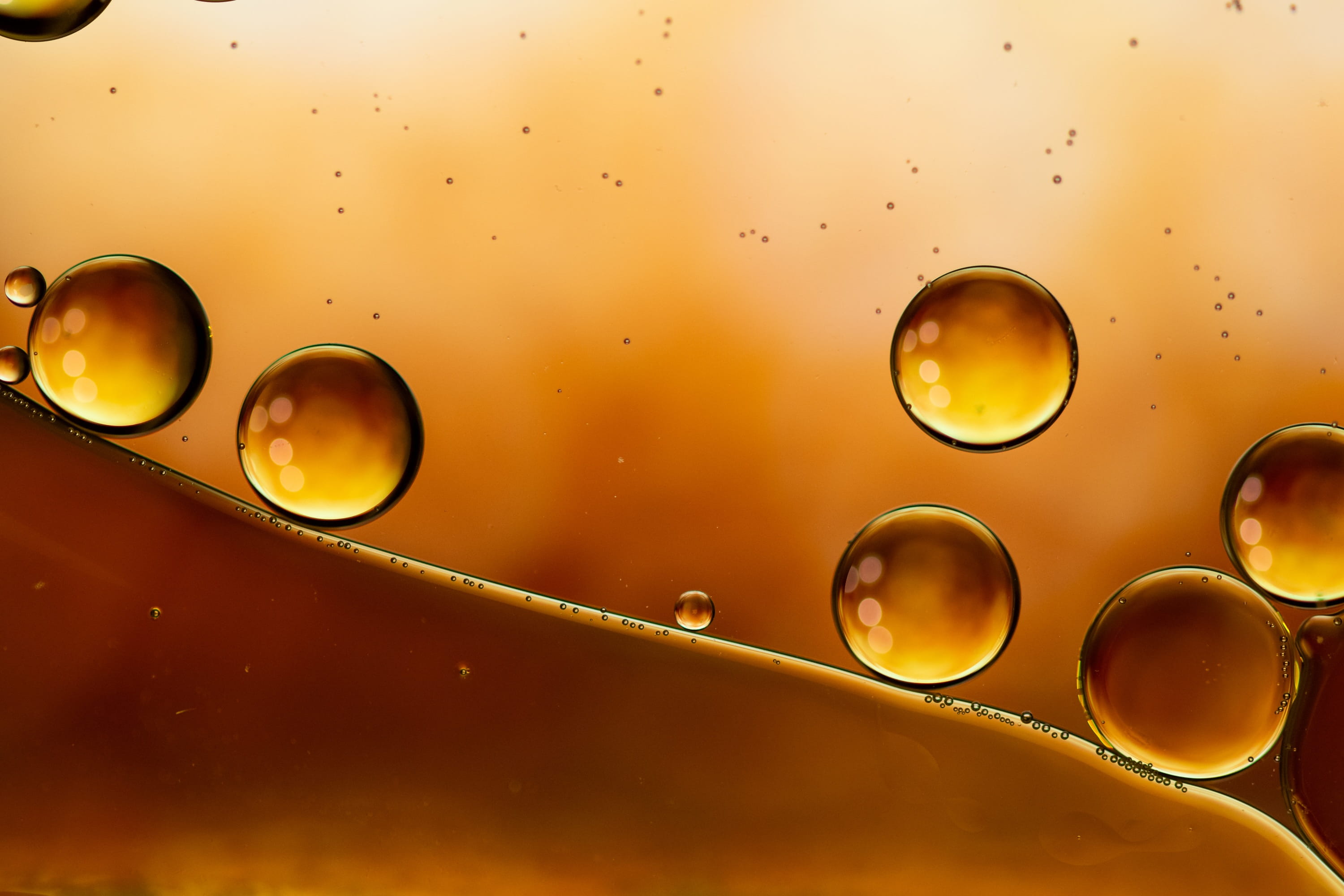 drink, close up, nature, close-up, oil in water, oily, fossil fuel, education, geometric shape, no people, wet, yellow, liquid, suspension, cells, indoors, HD Wallpaper