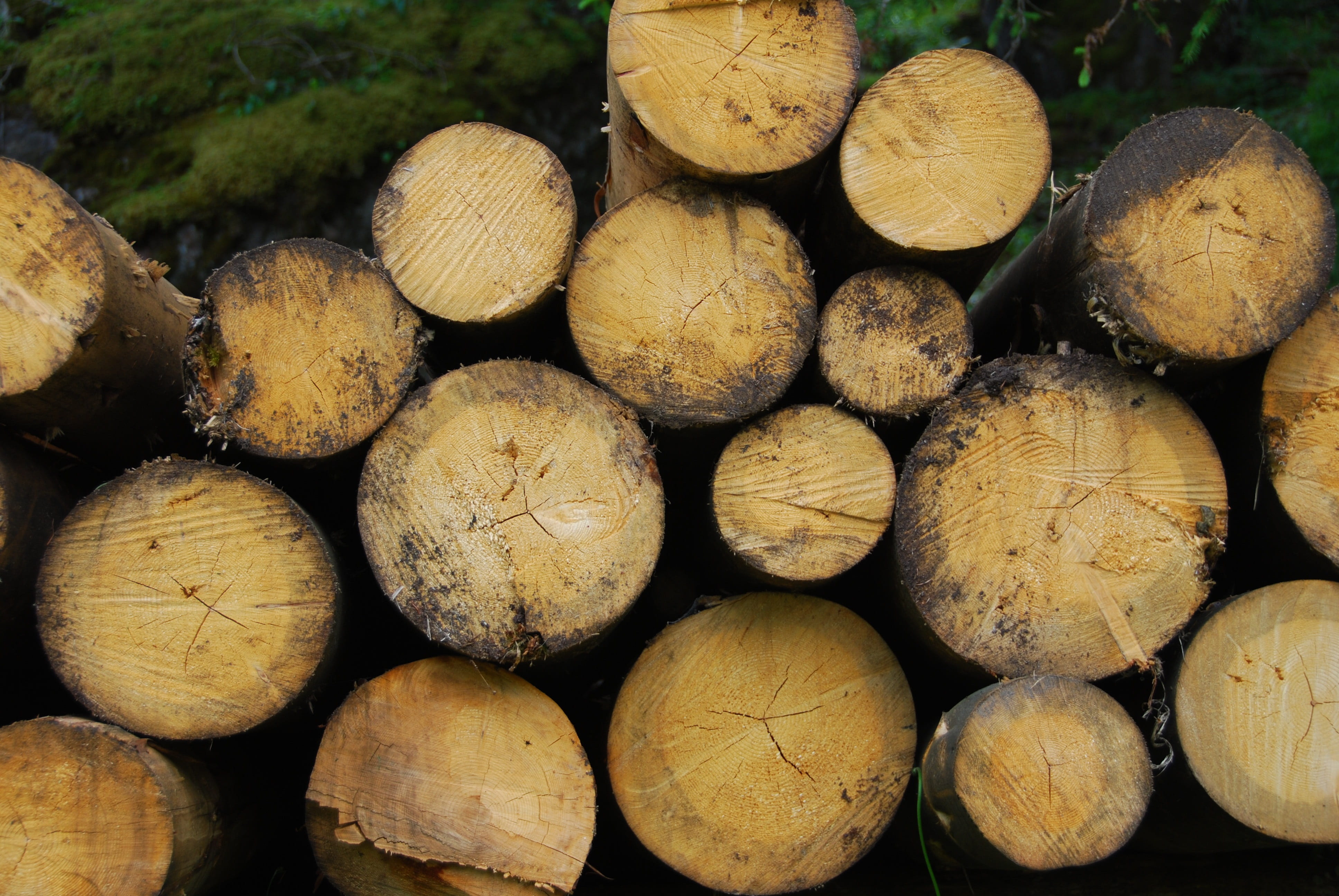 woodcutter, plant, lumber industry, abundance, mountain, fuel and power generation, full frame, lumber, wood, deforestation, timber, large group of objects, HD Wallpaper