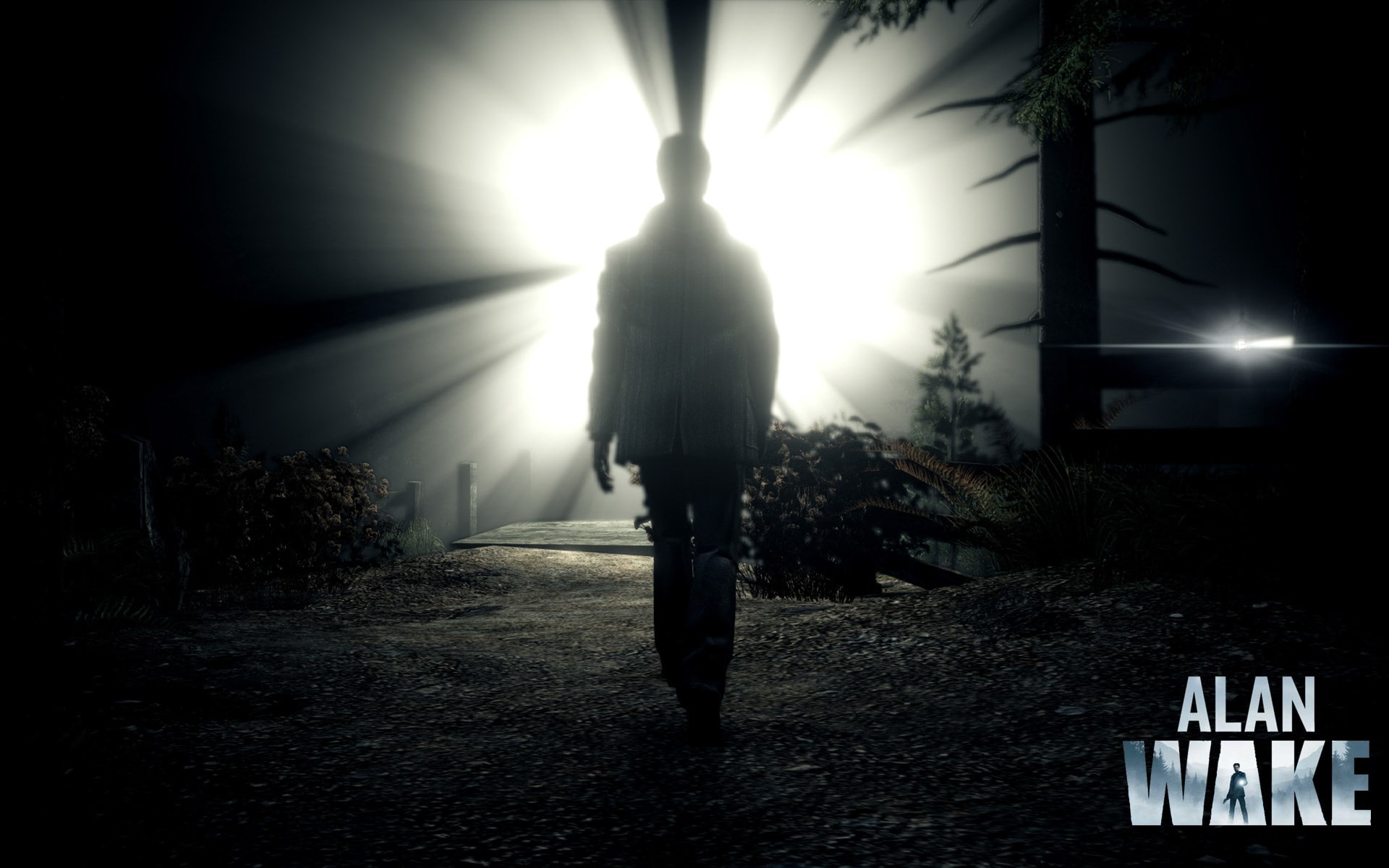 alan wake, real people, 1080P, standing, shadow, mystery, tree, forest, silhouette, one person, full length, outdoors, lighting equipment, spooky, nature, HD Wallpaper
