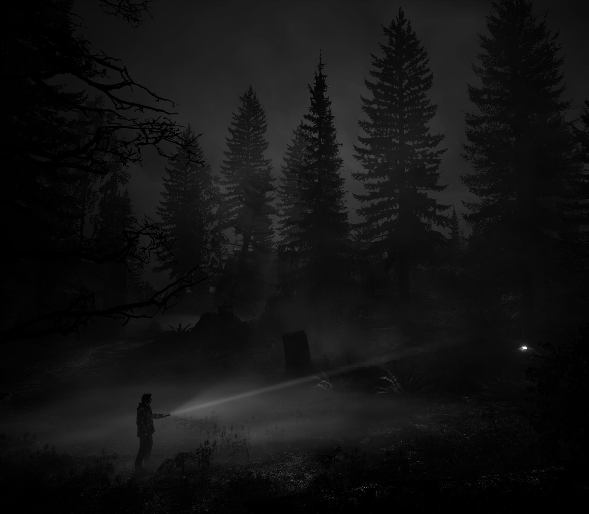 Video Game, Alan Wake, 1080P, HD Wallpaper