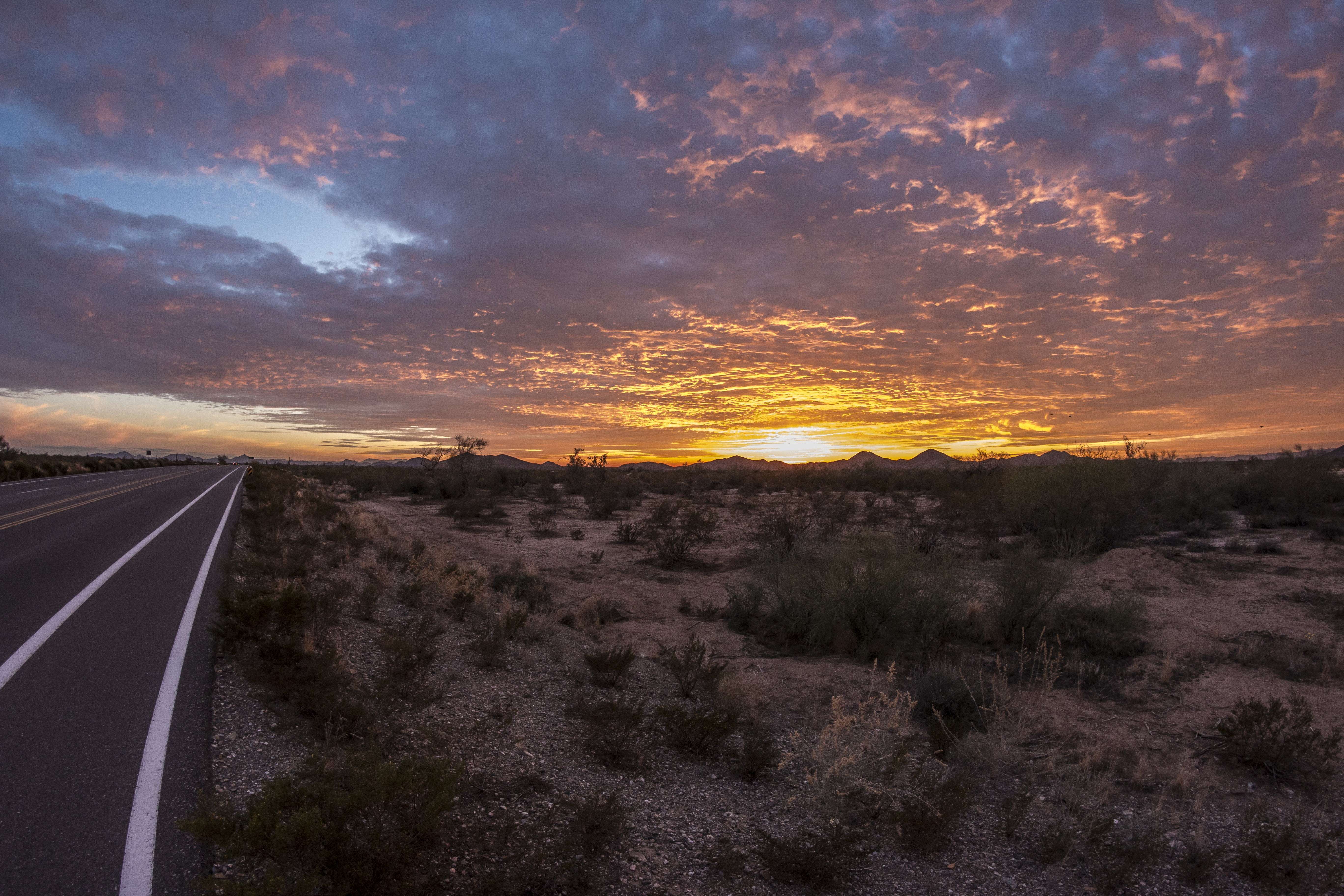 state, travel, direction, beauty in nature, dividing line, arizona, tranquility, arizona road, outdoors, desert, sun, phoenix, no people, southwest, road to nowhere, HD Wallpaper