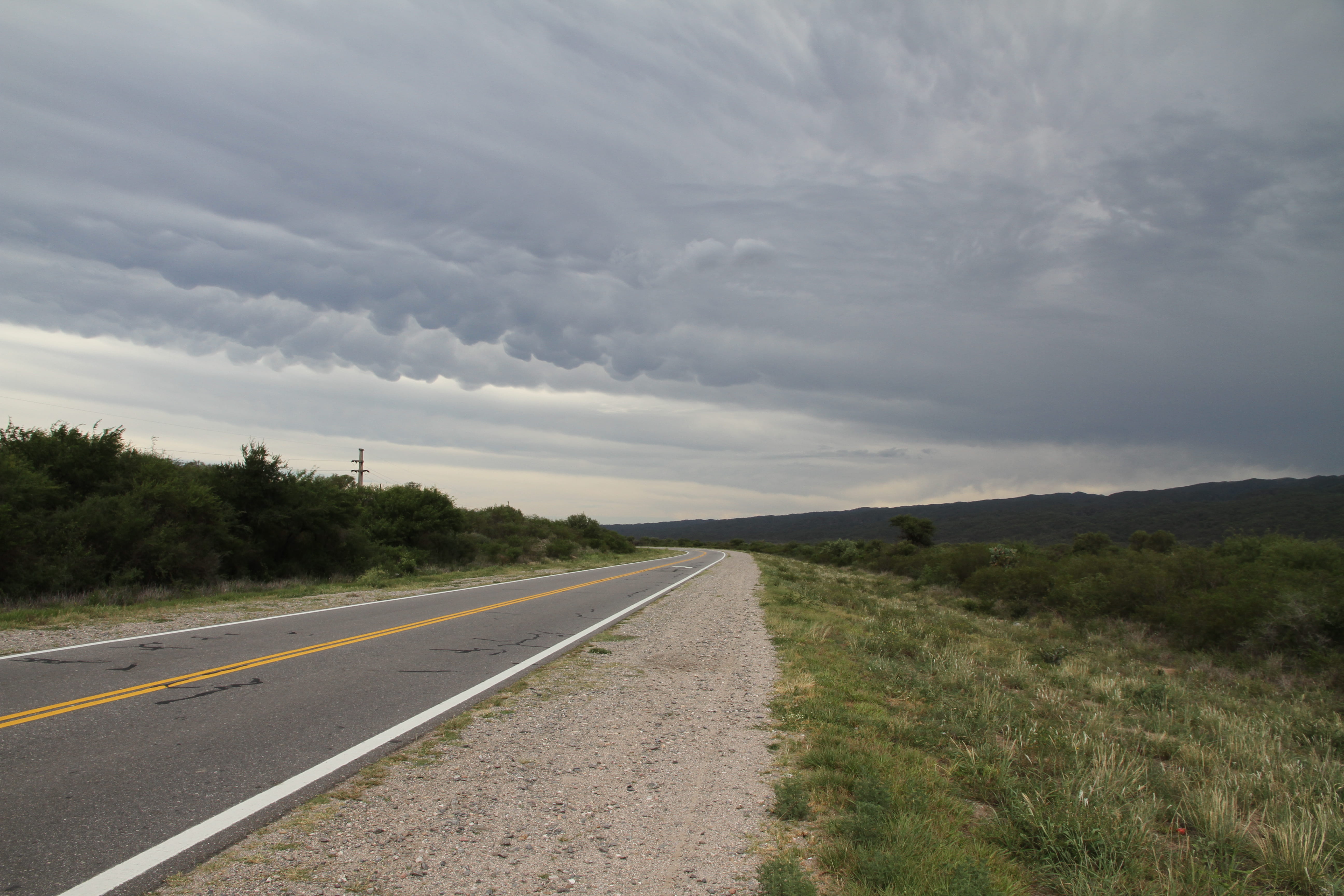 argentina, south argentina, diminishing perspective, road marking, transportation, no people, tree, clouds, tranquility, middle of nowhere, symbol, outdoors, HD Wallpaper