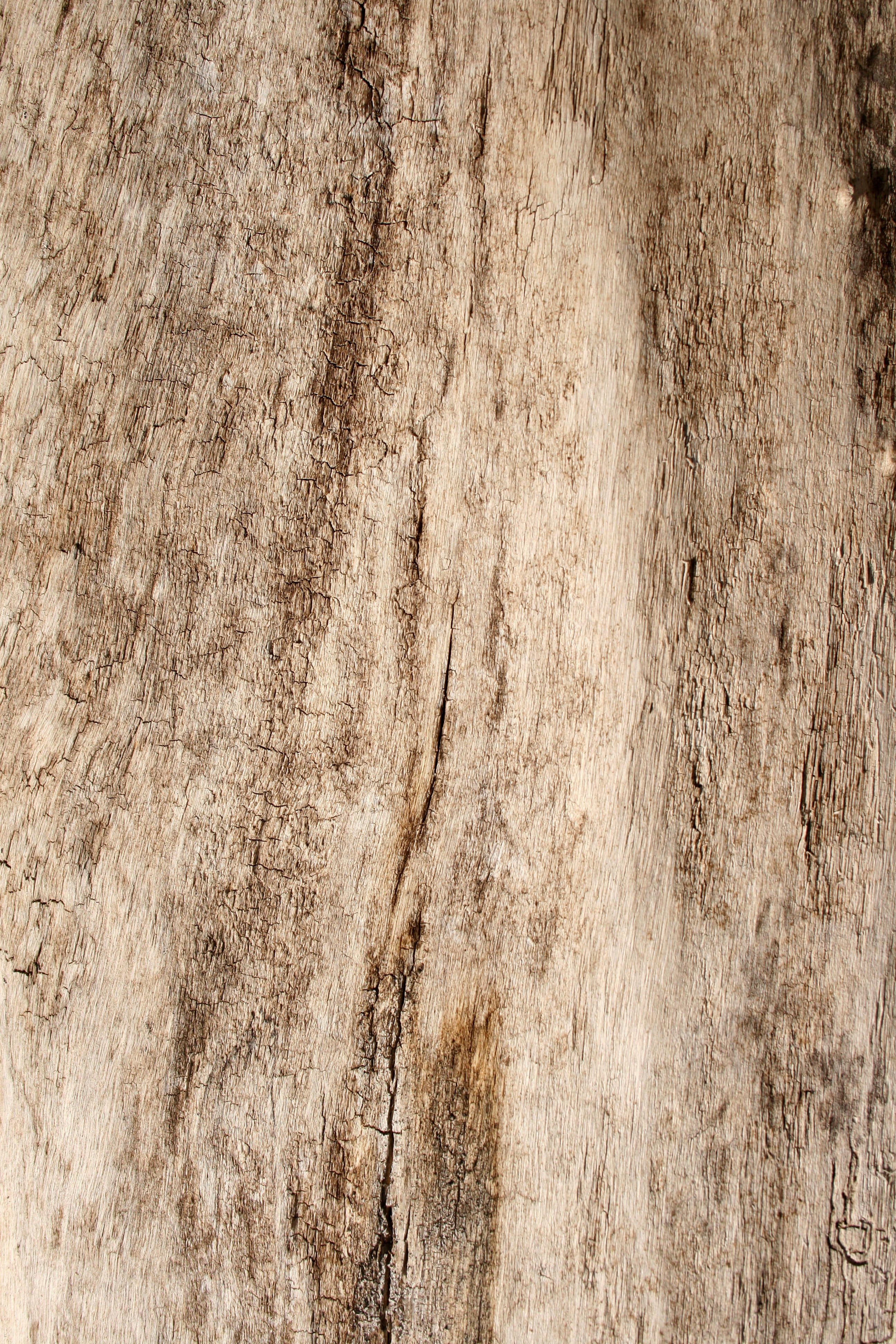 land, sunlight, backgrounds, wood, groove, built structure, wood grain, t g, field, full frame, tree, plant, panel, wood - material, grain, tongue and groove, Phone HD Wallpaper