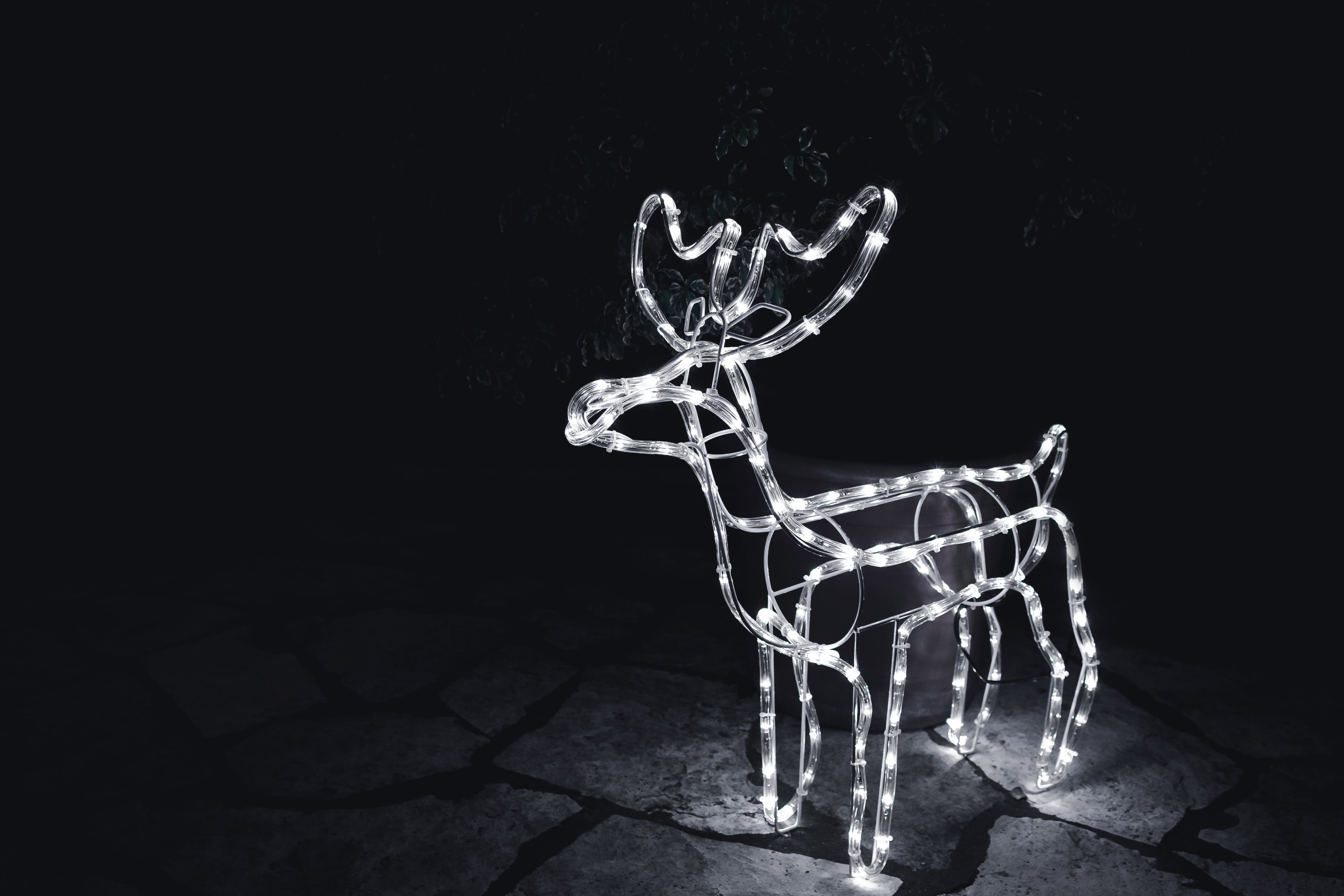raindeer, white, mammal, new, deer, representation, black background, indoors, night, winter, wall - building feature, light, glow, no people, happy, decoration, HD Wallpaper