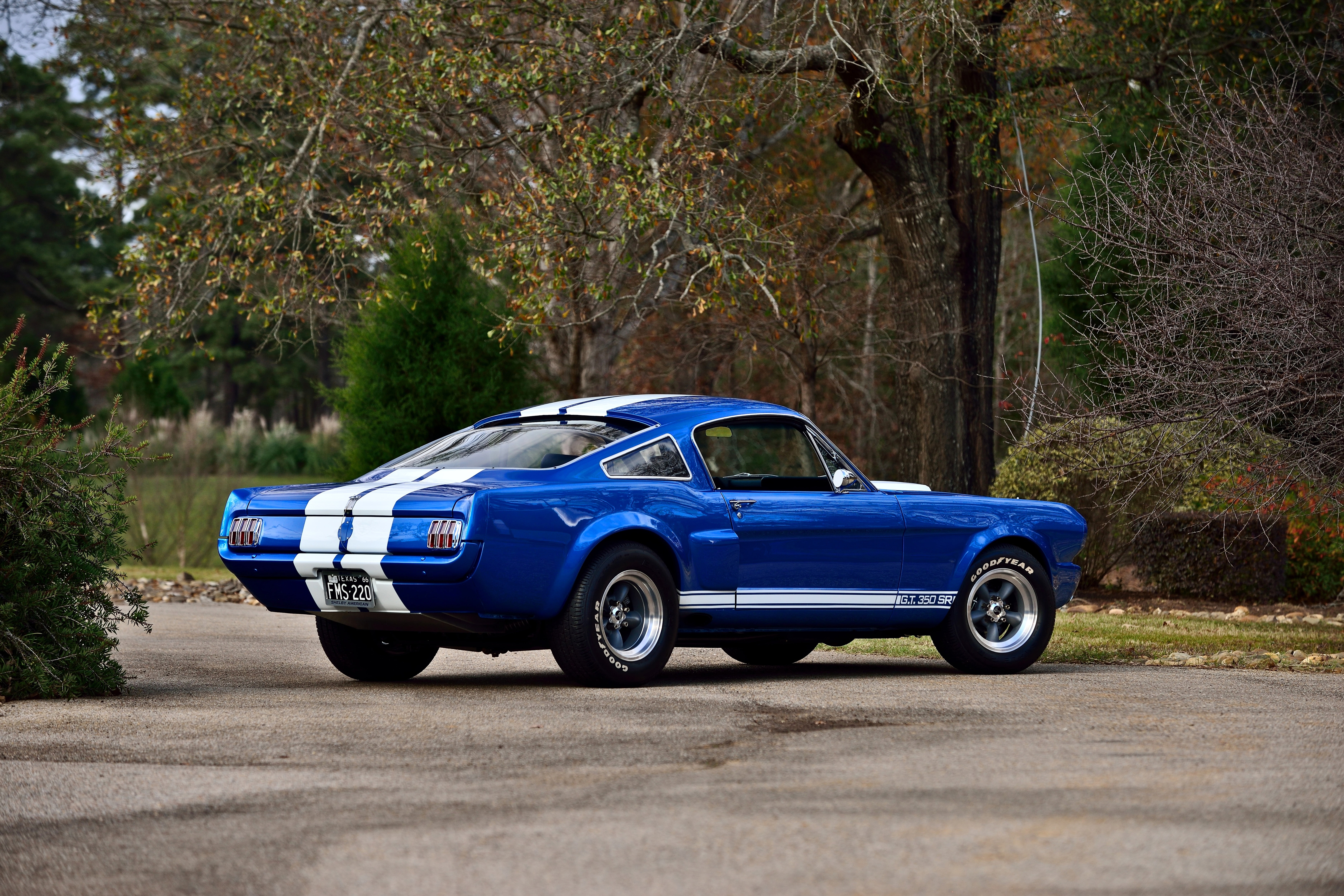 1966, muscle, old, ford, shelby, usa, mustang, classic, fastback, 5K, gt500sr, HD Wallpaper