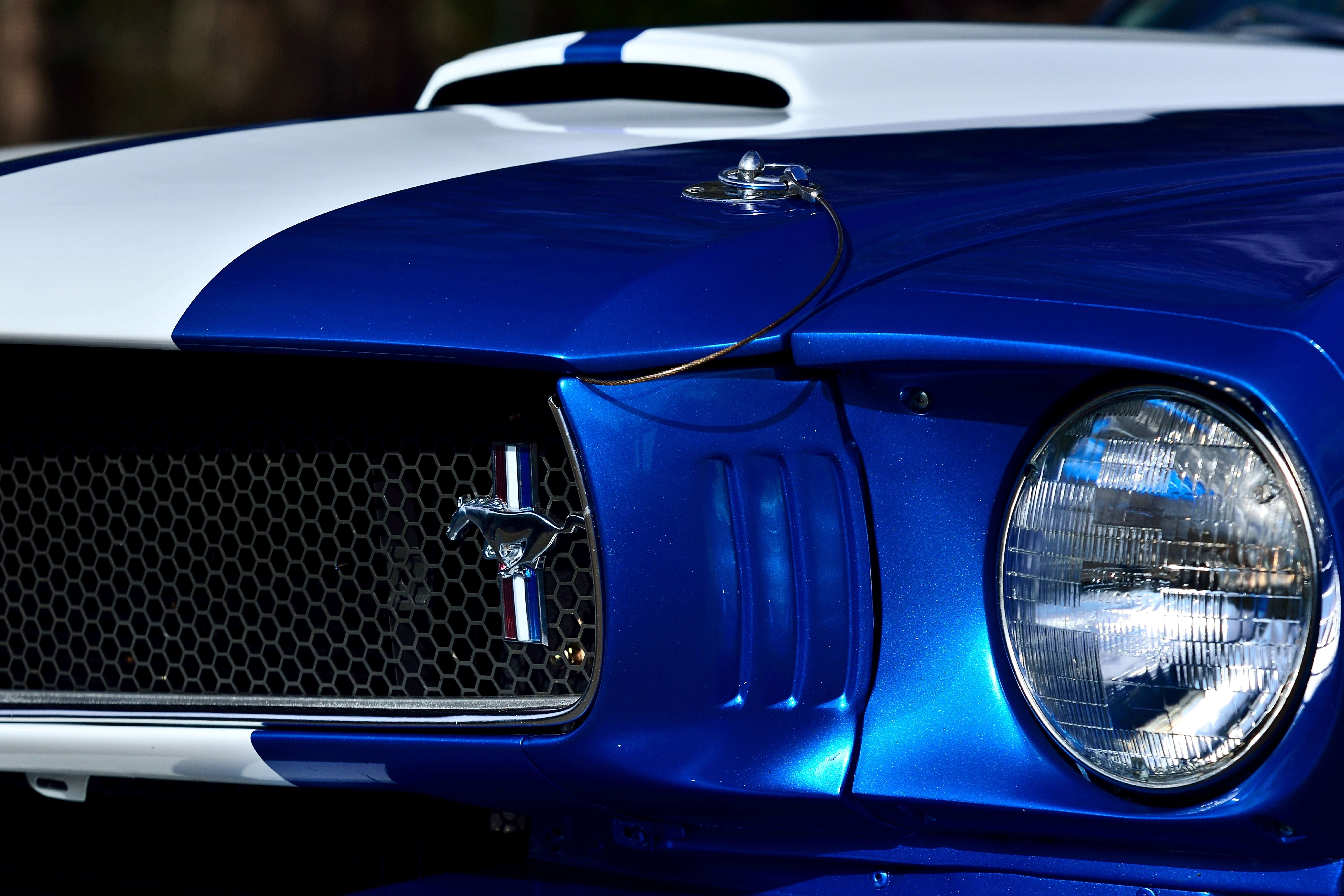 -14, shelby, muscle, classic, 5K, ford, gt500sr, mustang, usa, old, fastback, 1966, HD Wallpaper