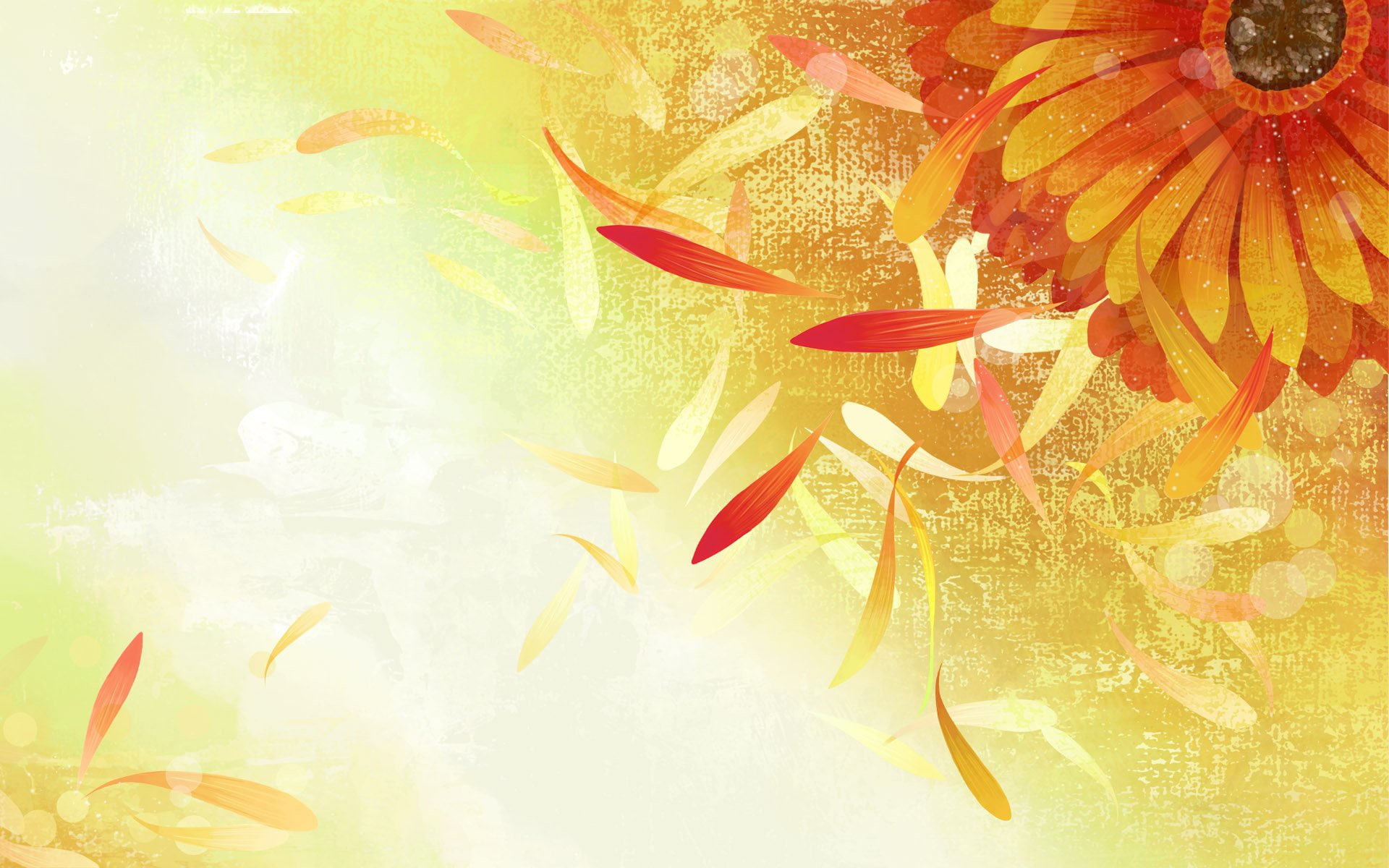 Vector, 1920x1200 px, art, Abstract, freshness, hd, marine, Flowers, animal wildlife, no people, beauty in nature, px, flower, water, orange color, sea, HD Wallpaper