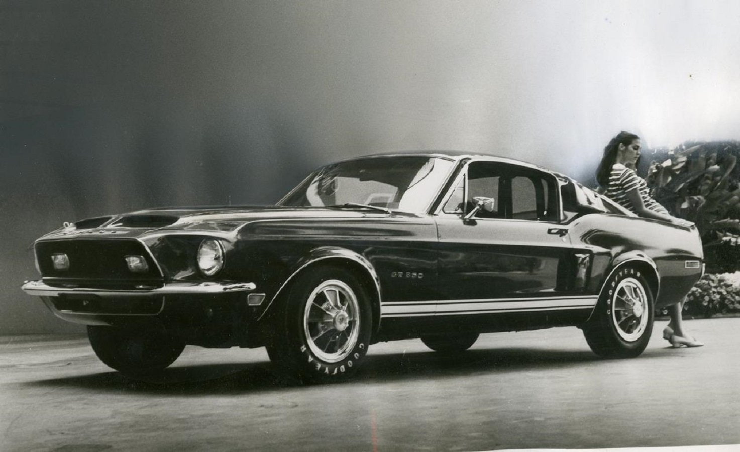 1967, ford, mustang, gt500, shelby, 720P, HD Wallpaper