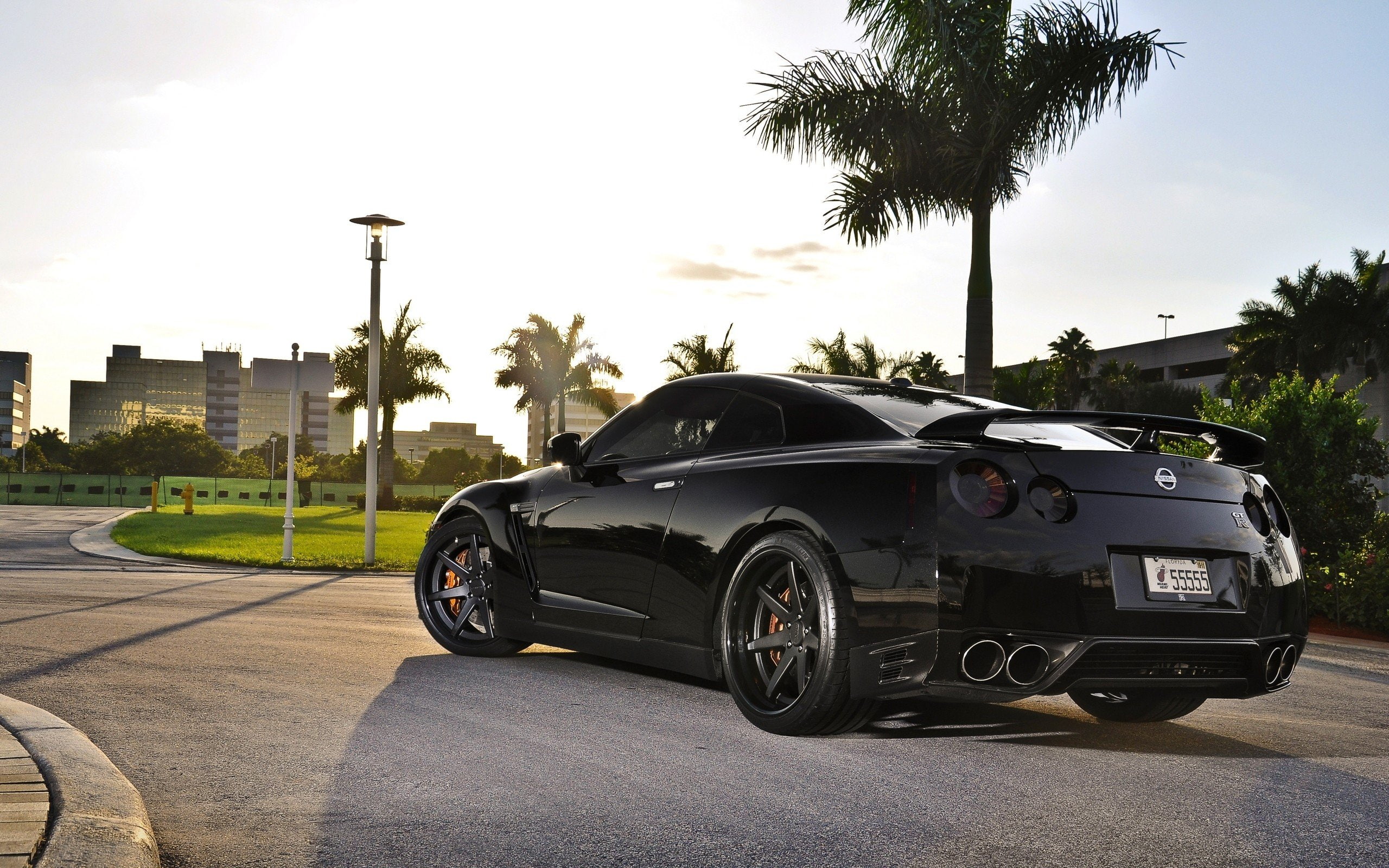 natural, palm, nissan, trees, cars, spec v, angle, gt r, lighting, view, 2K, r35, gtr, black, rear, HD Wallpaper