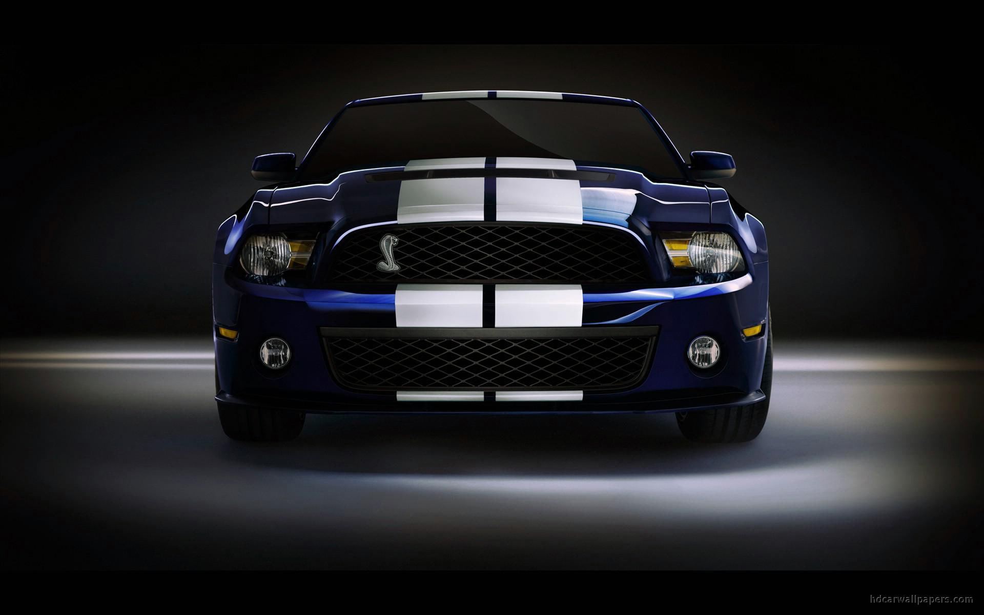 1080P, mustang, gt, ford, 2010, blue, shelby, white, cars, gt500, HD Wallpaper