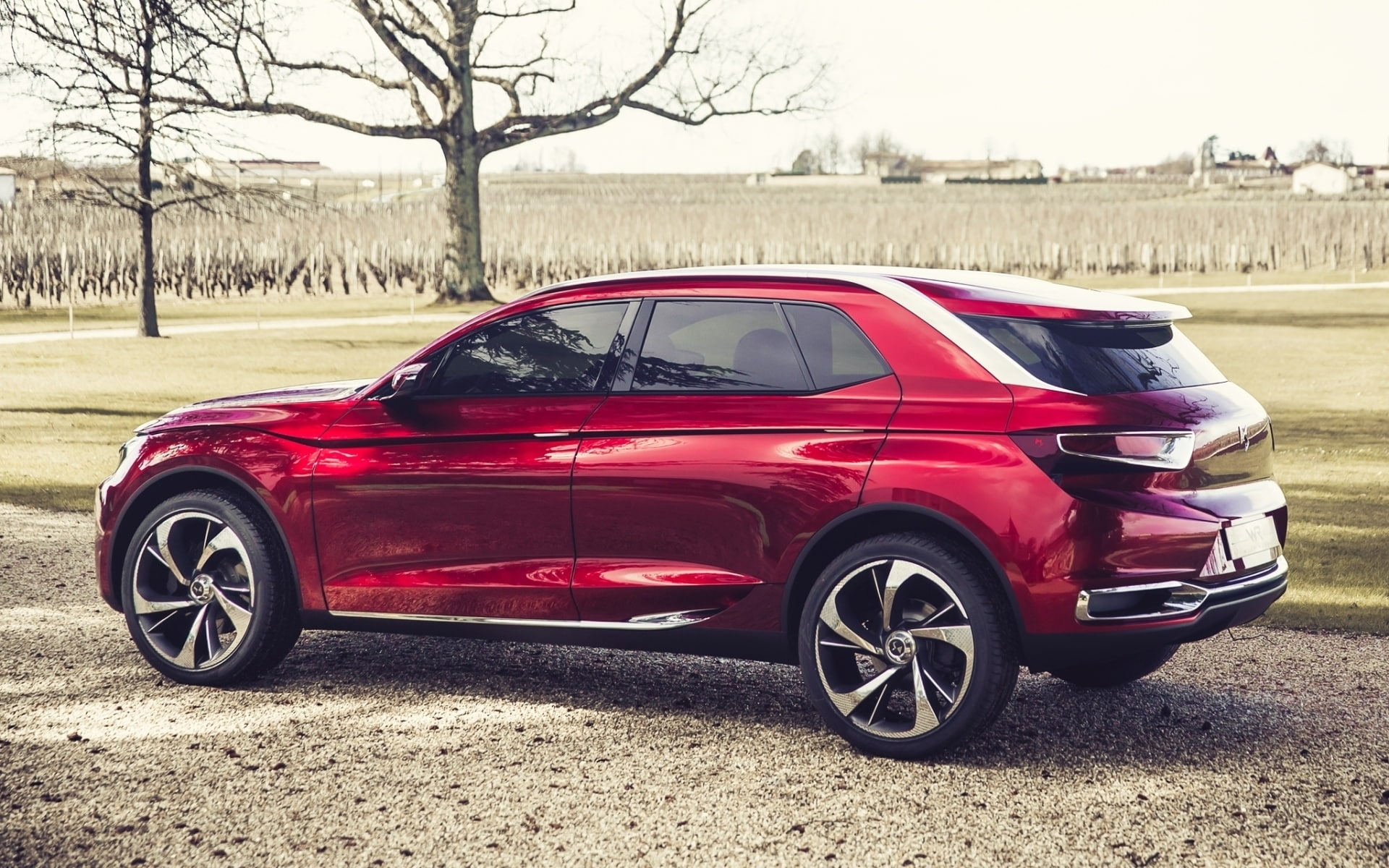 rubis, wild, 1080P, citroen, ds, HD Wallpaper