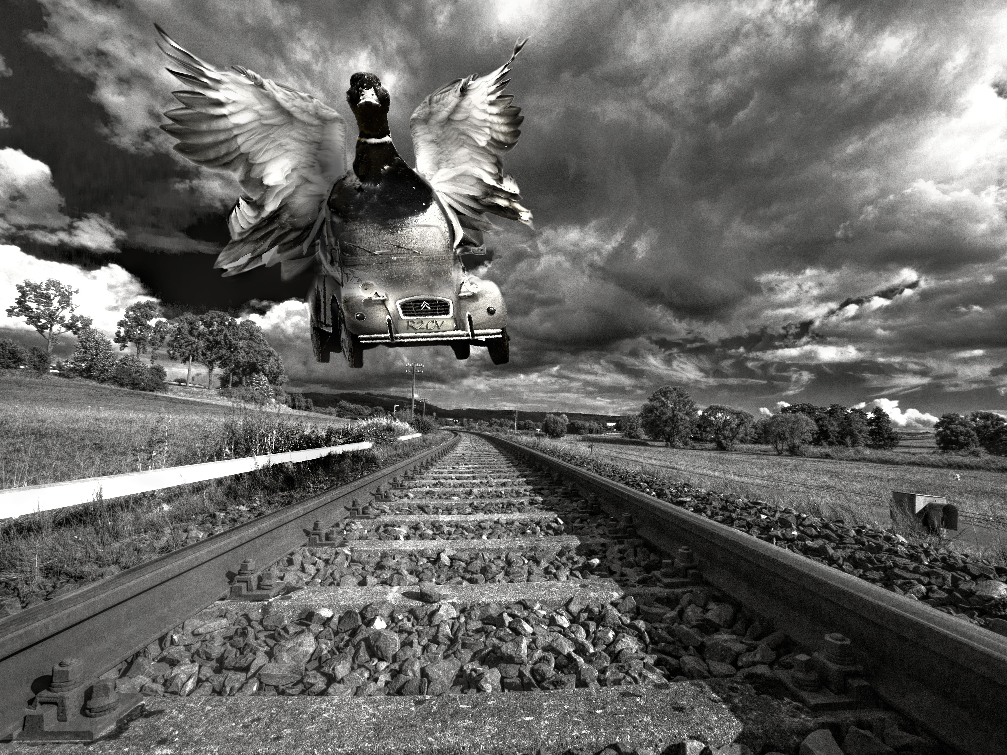 city car, historically, classic, clouds, 2cv, nature, bird, transportation, flying 2cv, outdoors, citroen, vanishing point, old car, animal, black and white, HD Wallpaper