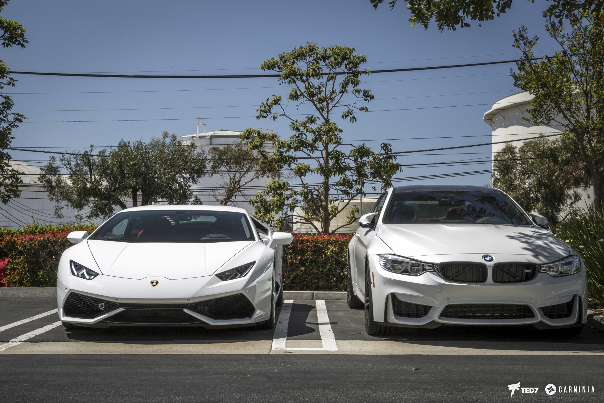 car, no people, bmw m4 coupe bmw m4 cabrio bmw m4 lb performance lb works car low vossen street carninja, mode of transportation, luxury, travel, tree, HD Wallpaper