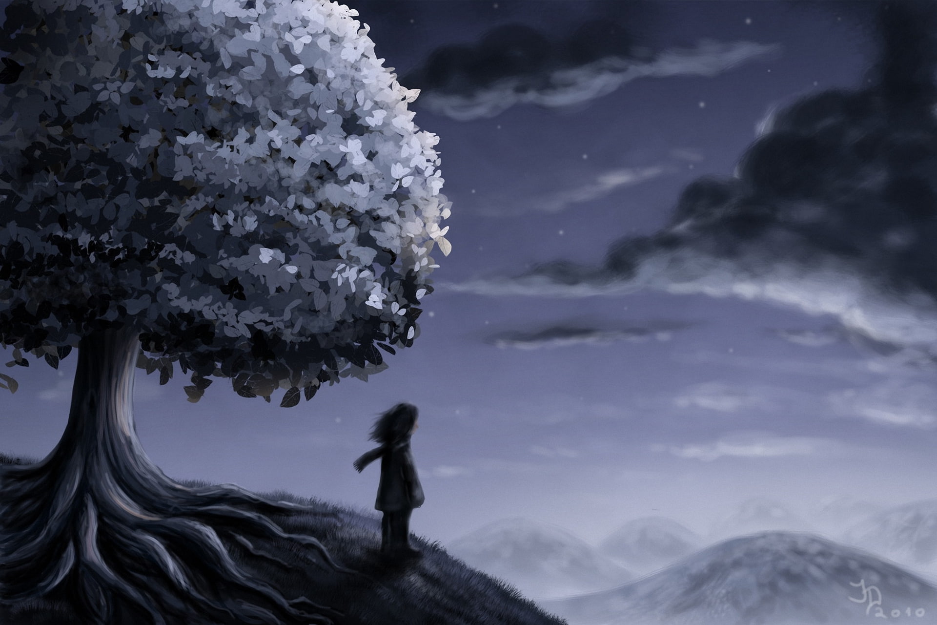 cold temperature, night, snow, aircraft, sky, hd, stars, standing, one person, beauty in nature, plant, hill, px, nature, mountain, outdoors, cloud - sky, HD Wallpaper