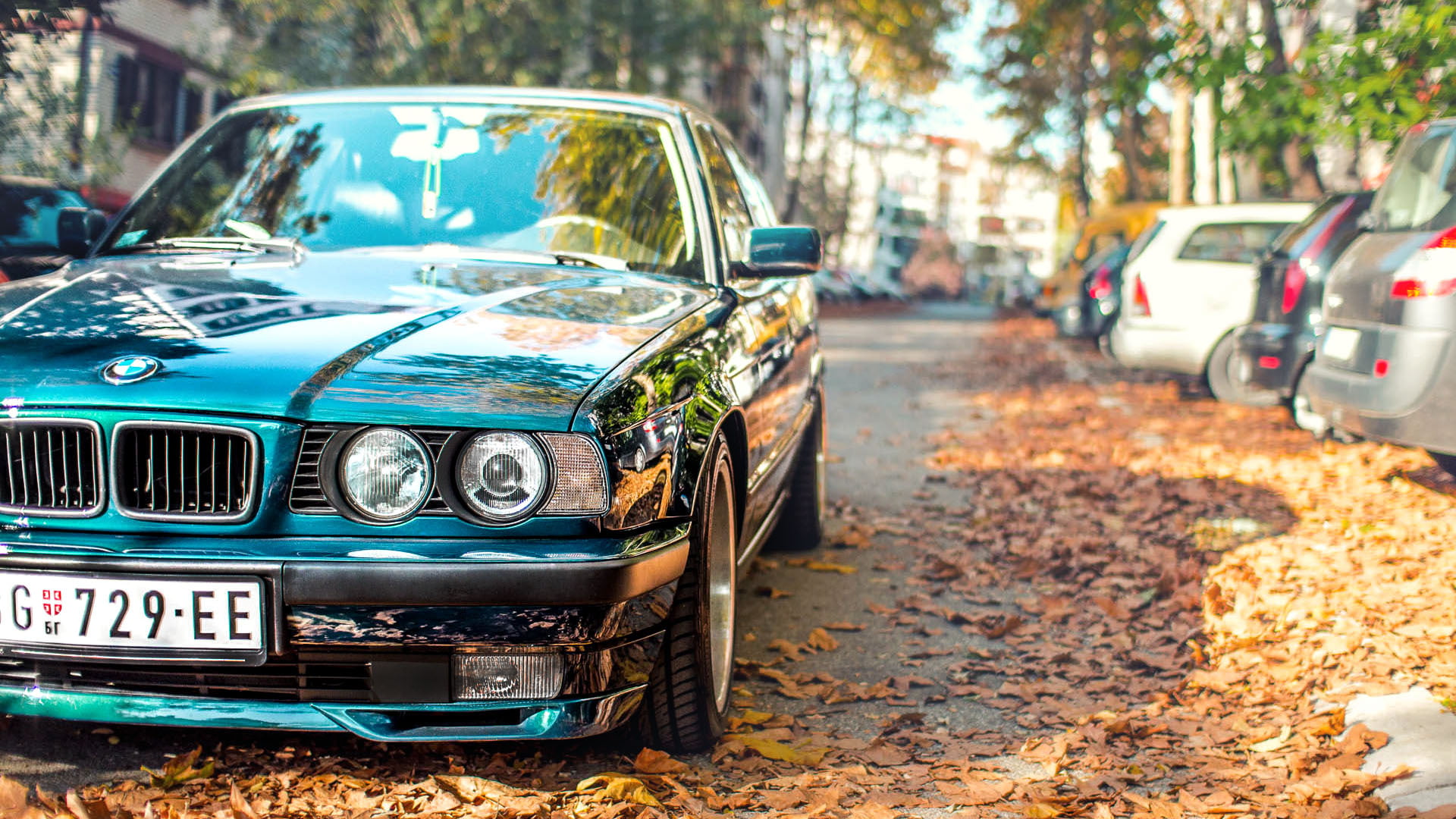 BMW E34, leaves, 1080P, fall, BMW, car, HD Wallpaper