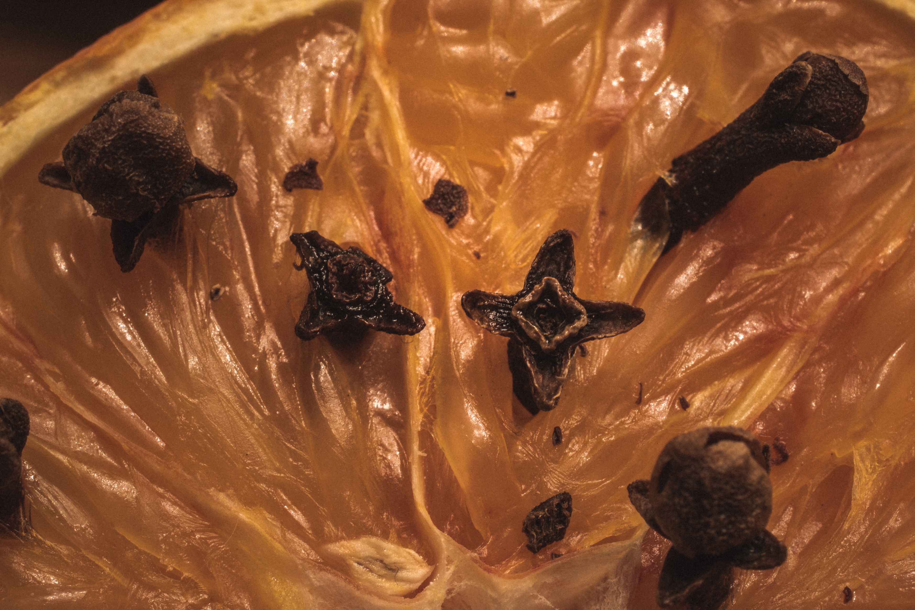clove, christmas, dessert, still life, ready-to-eat, black color, food and drink, spice, food, syzygium aromaticum, air freshener, full frame, mosquito repellent, HD Wallpaper