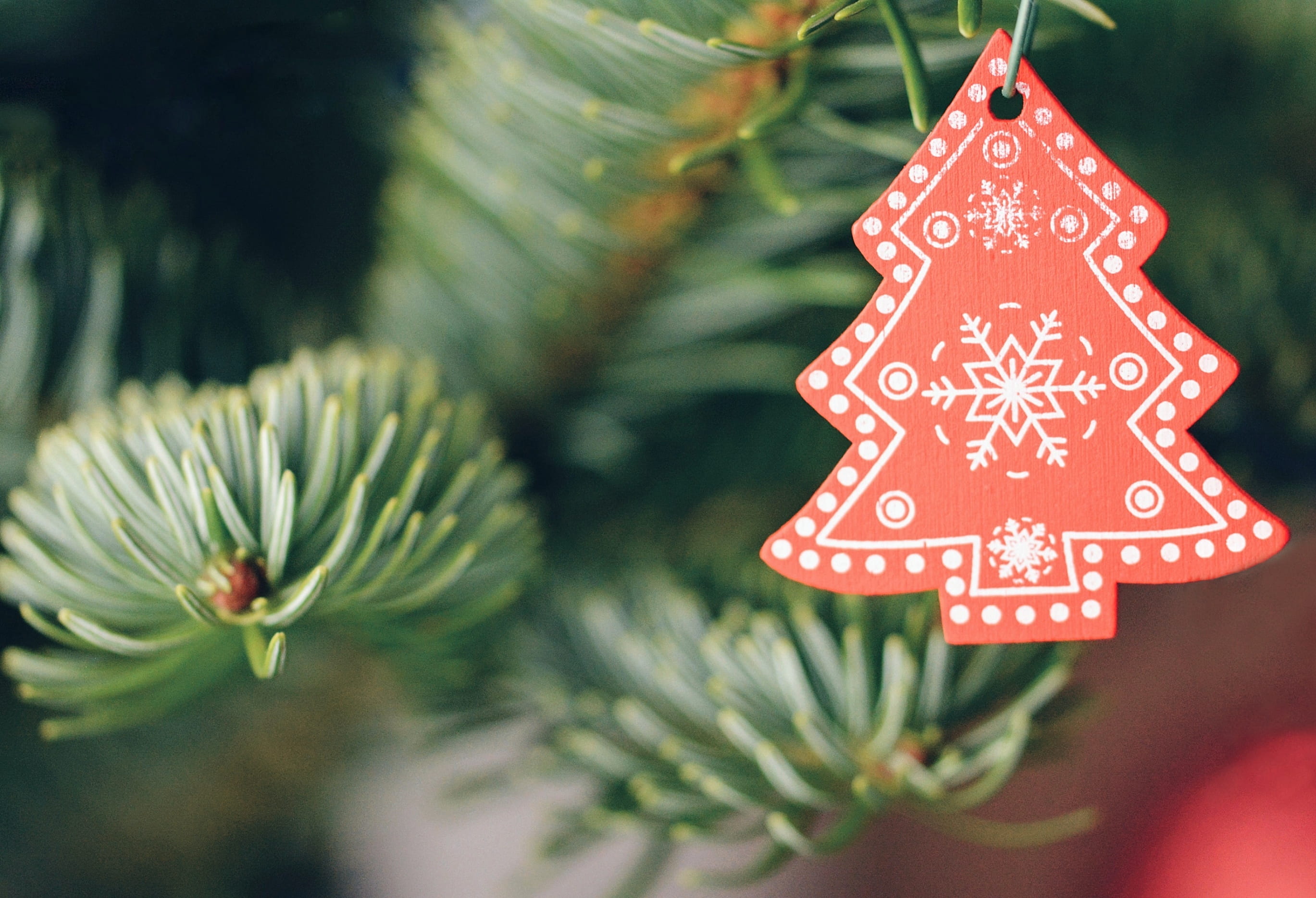 hanging, conifer, pine, text, communication, celebration, white, card, abies, red, holiday - event, christmas decoration, christmas tree, 2K, bokeh, holiday, HD Wallpaper