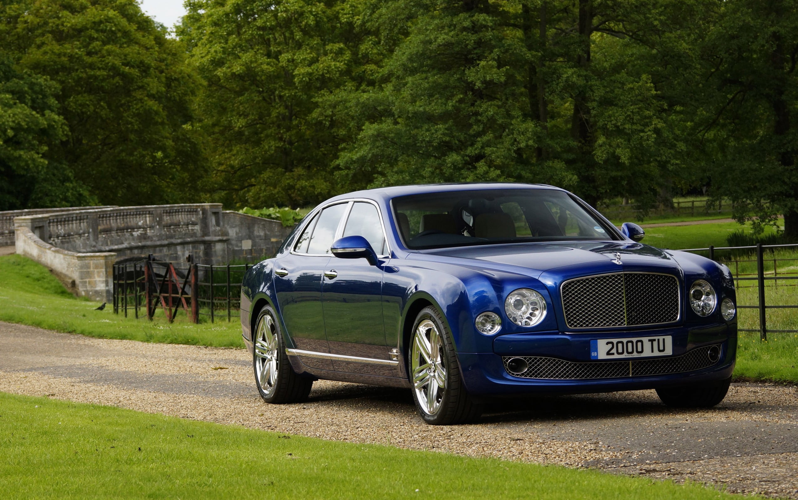 1080P, forest, day, mode of transportation, Bentley, transportation, Cars, vintage car, growth, outdoors, car, green, no people, green color, retro styled, HD Wallpaper