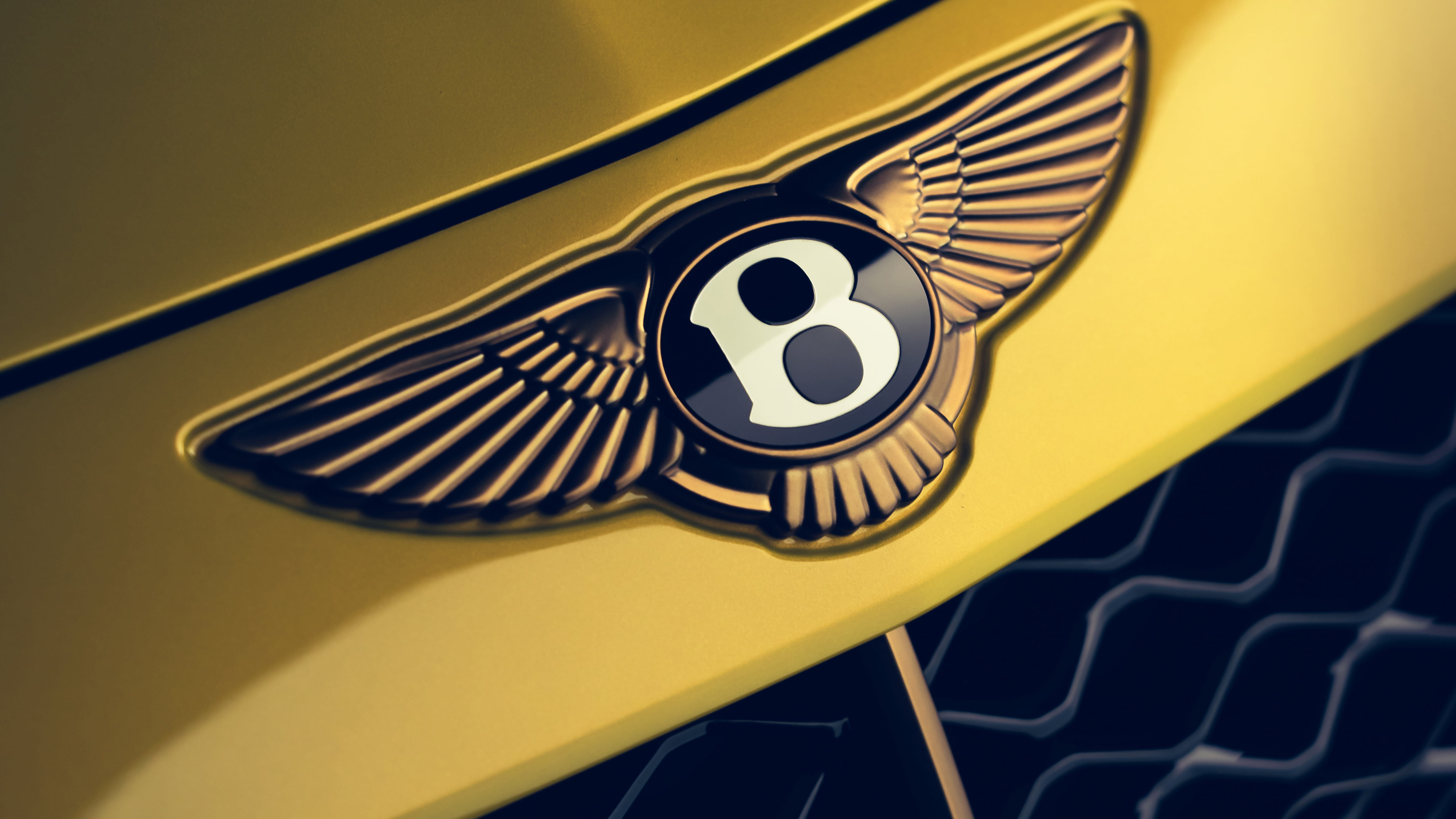 Bentley Mulliner Bacalar, 5K, logo, wings, car, closeup, vehicle, Bentley, HD Wallpaper