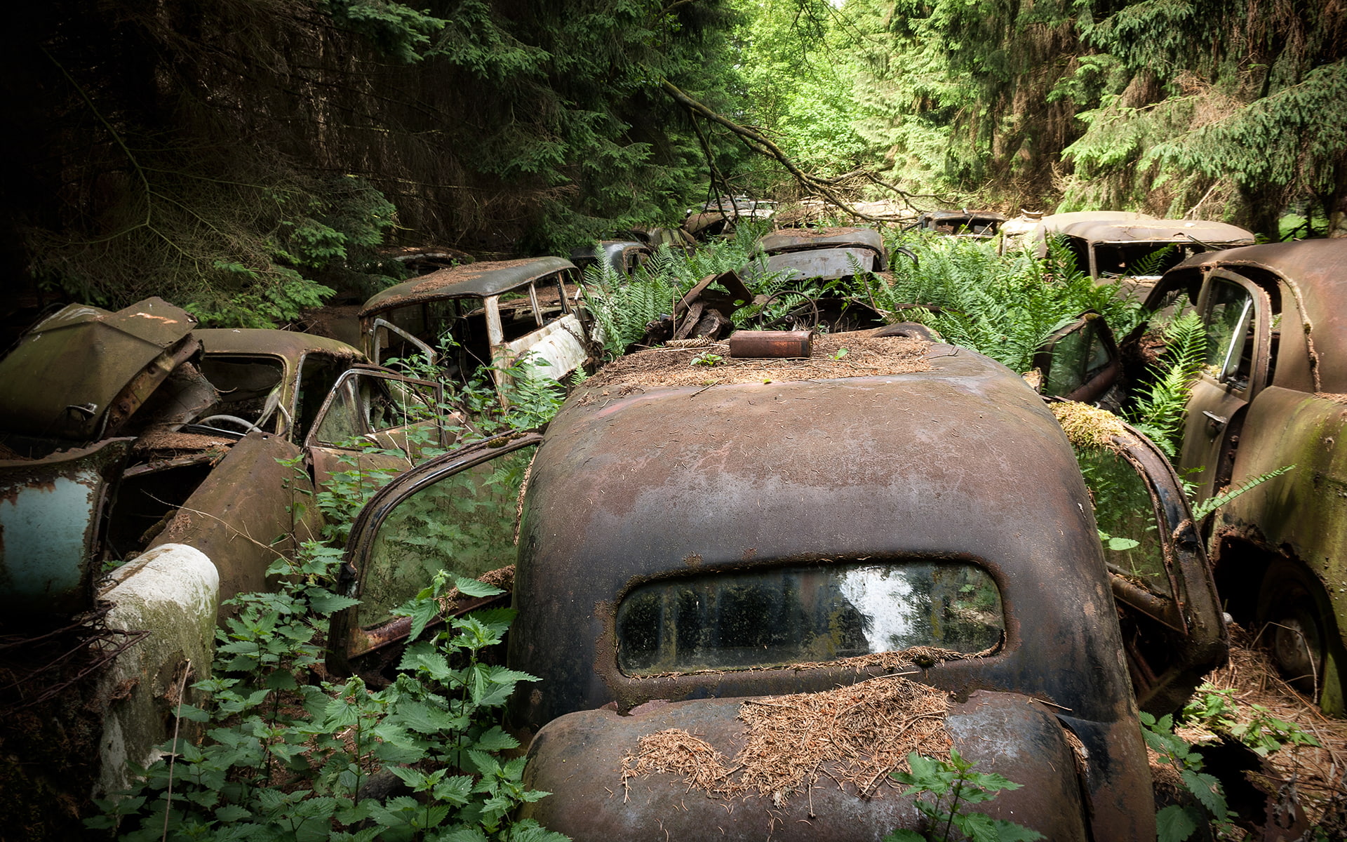 overgrowth, abandon, deserted, nature, hd, forest, 1080P, classic, car, HD Wallpaper