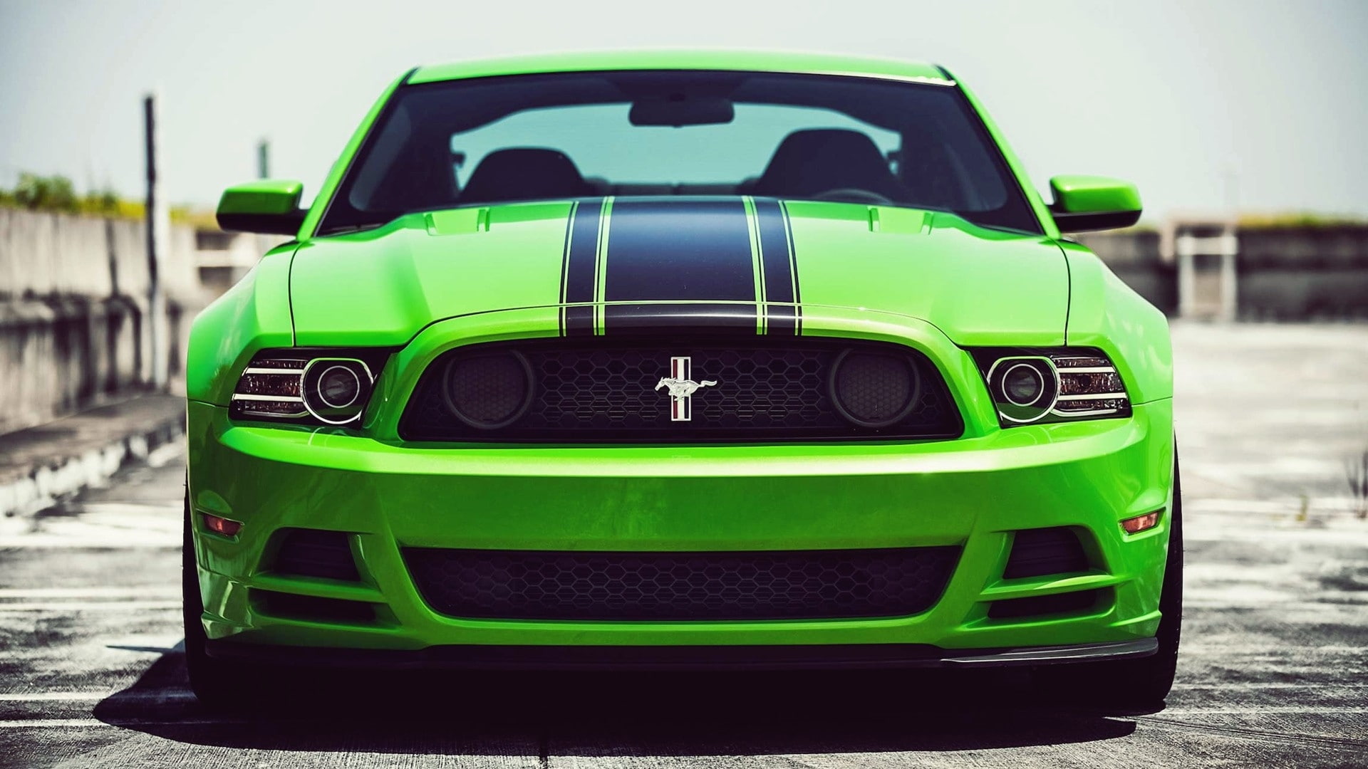 Ford, art, Ford Mustang, cars, boss, Automotive, hd, Green, mustang, vehicles, automobiles, shel, 1080P, HD Wallpaper
