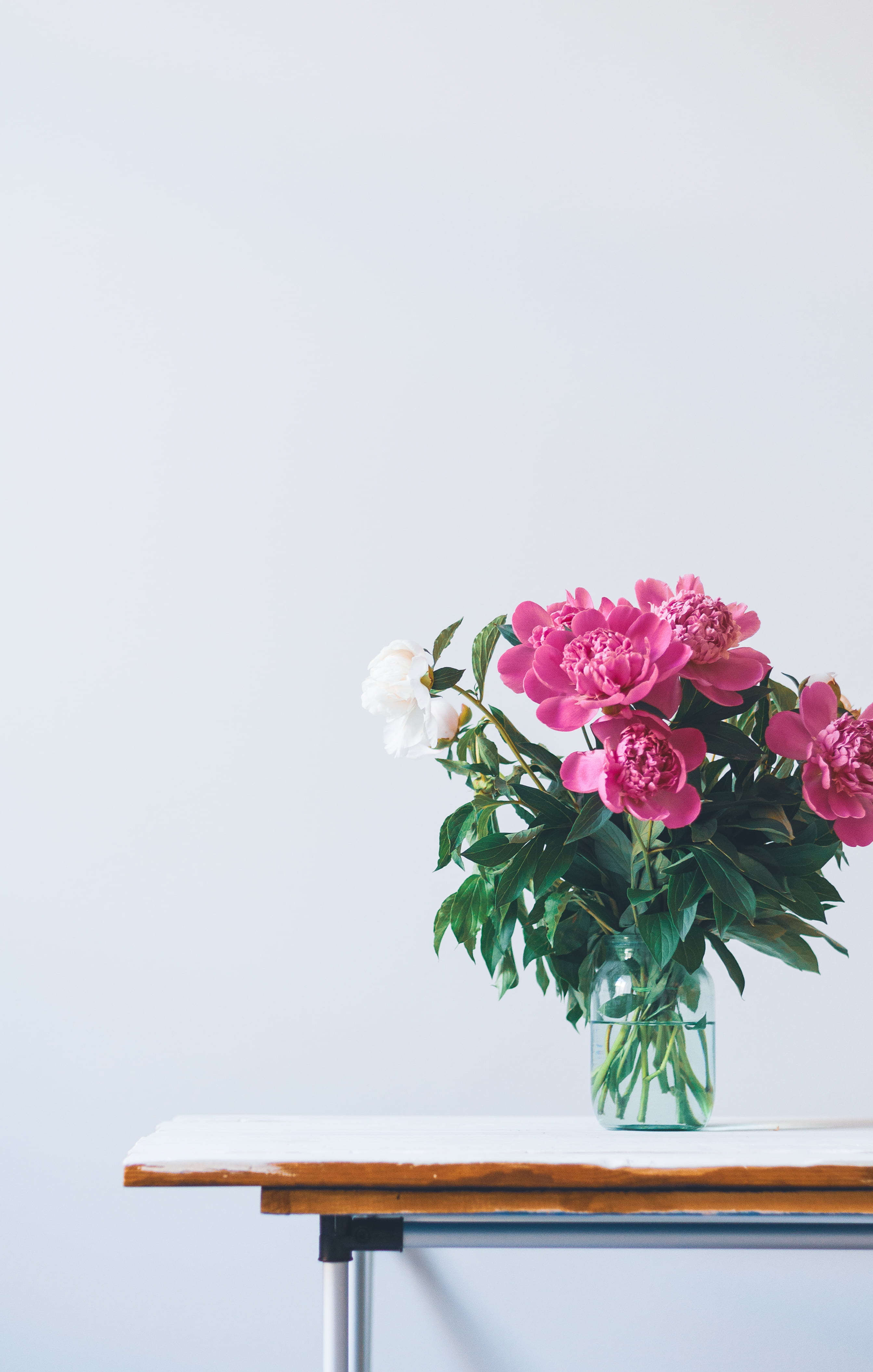 copy space, bunch of flowers, inflorescence, flower head, bouquet, decor, flora, minimal, vulnerability, rose, interior, fragility, white, clear, indoors, Phone HD Wallpaper