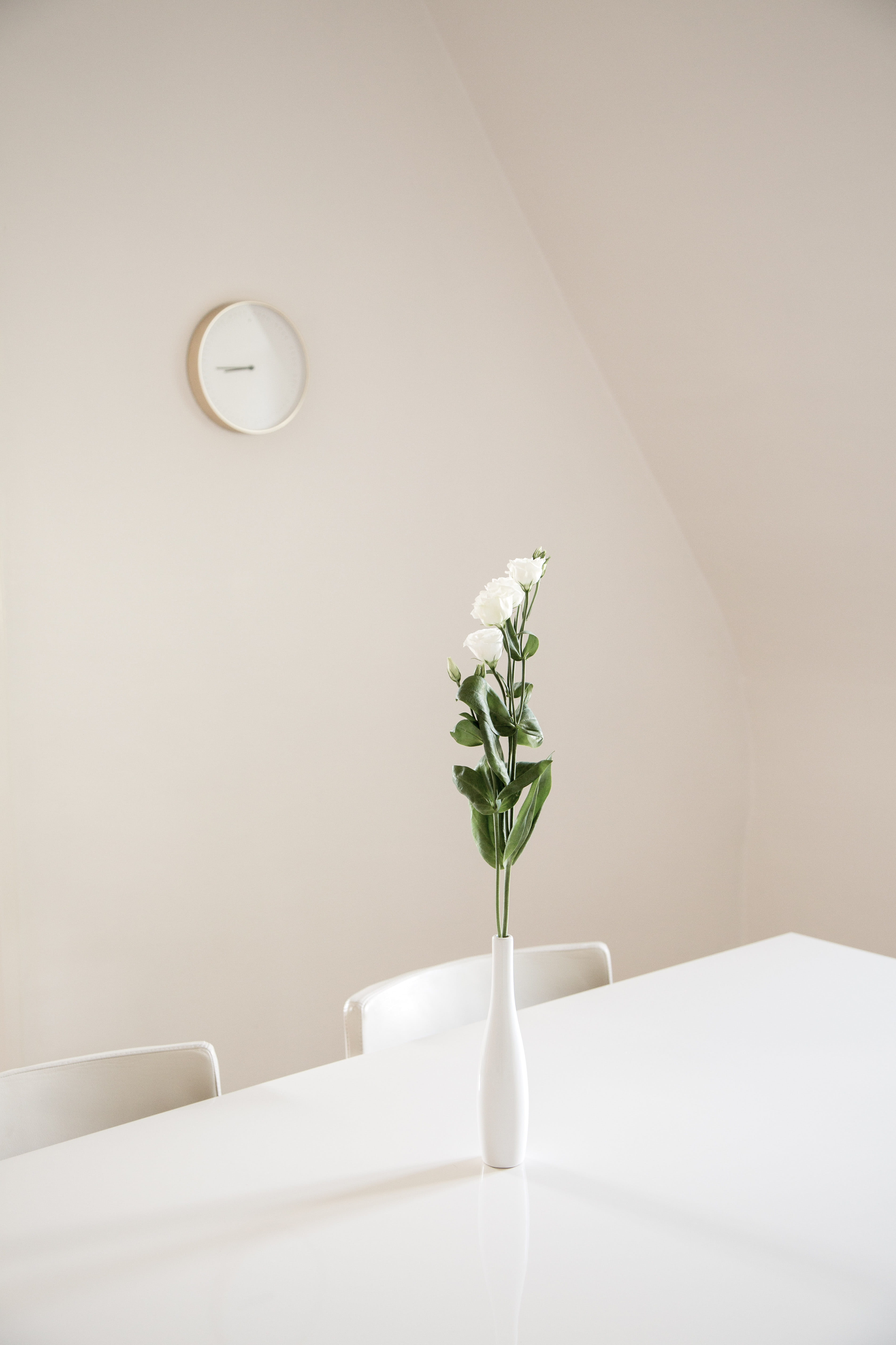 space, indoors, flower, silence, leaf, green, ceramic, plant part, wall - building feature, domestic bathroom, clock, vase, minimalist, architecture, freshness, Phone HD Wallpaper